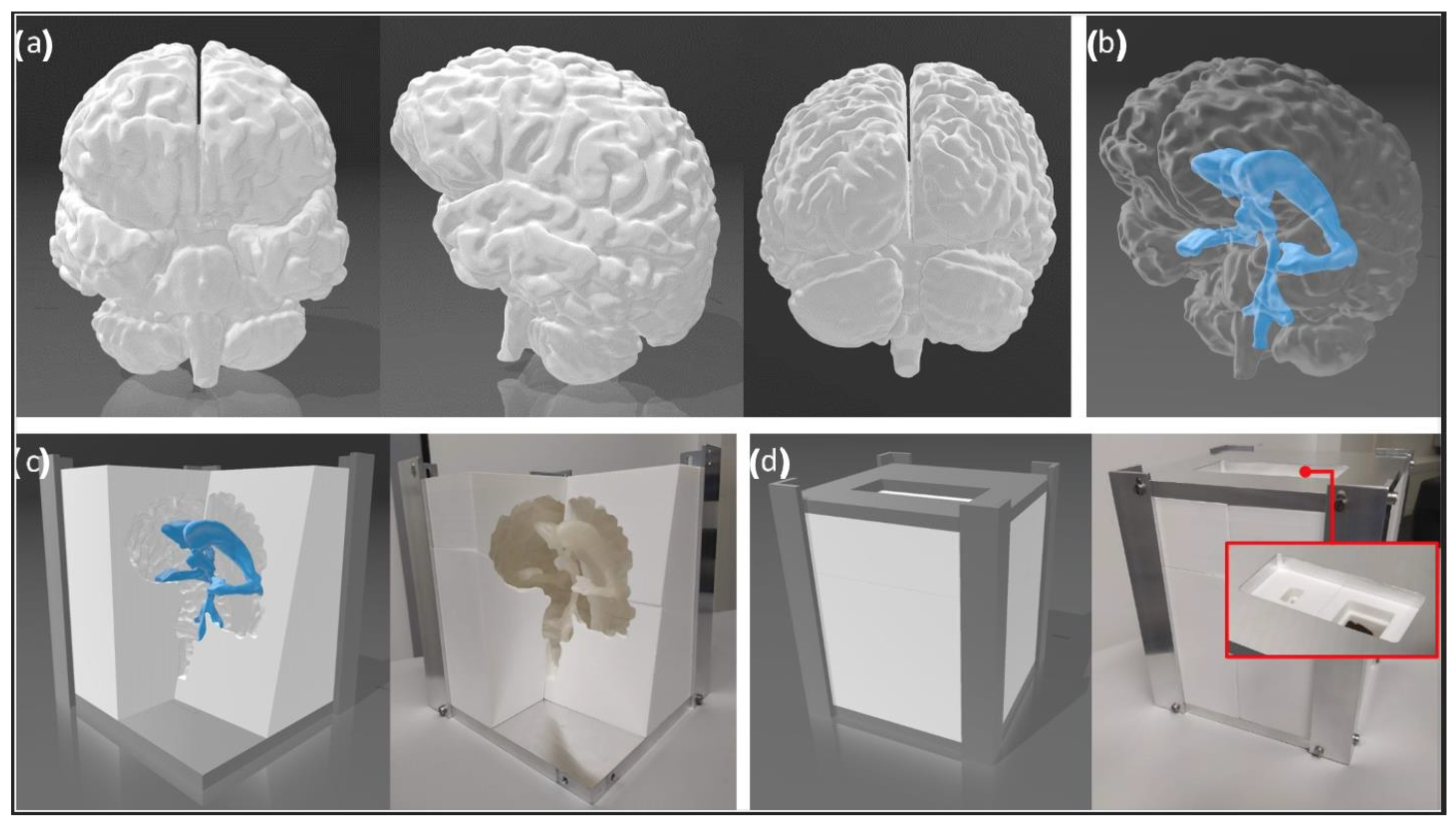 Bioengineering 09 00537 g003 Bioengineering 09 00537 g003