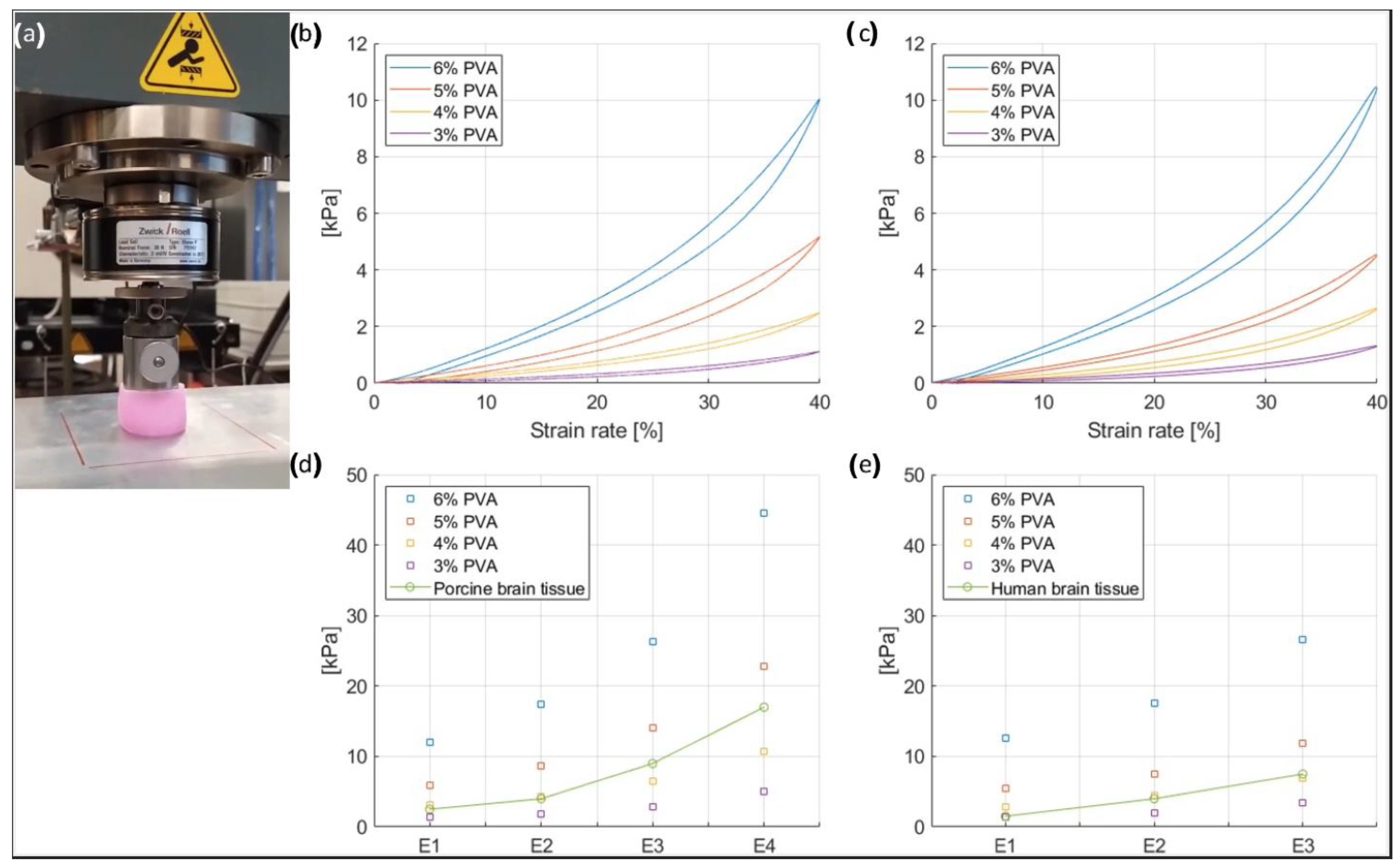 Bioengineering 09 00537 g004 Bioengineering 09 00537 g004