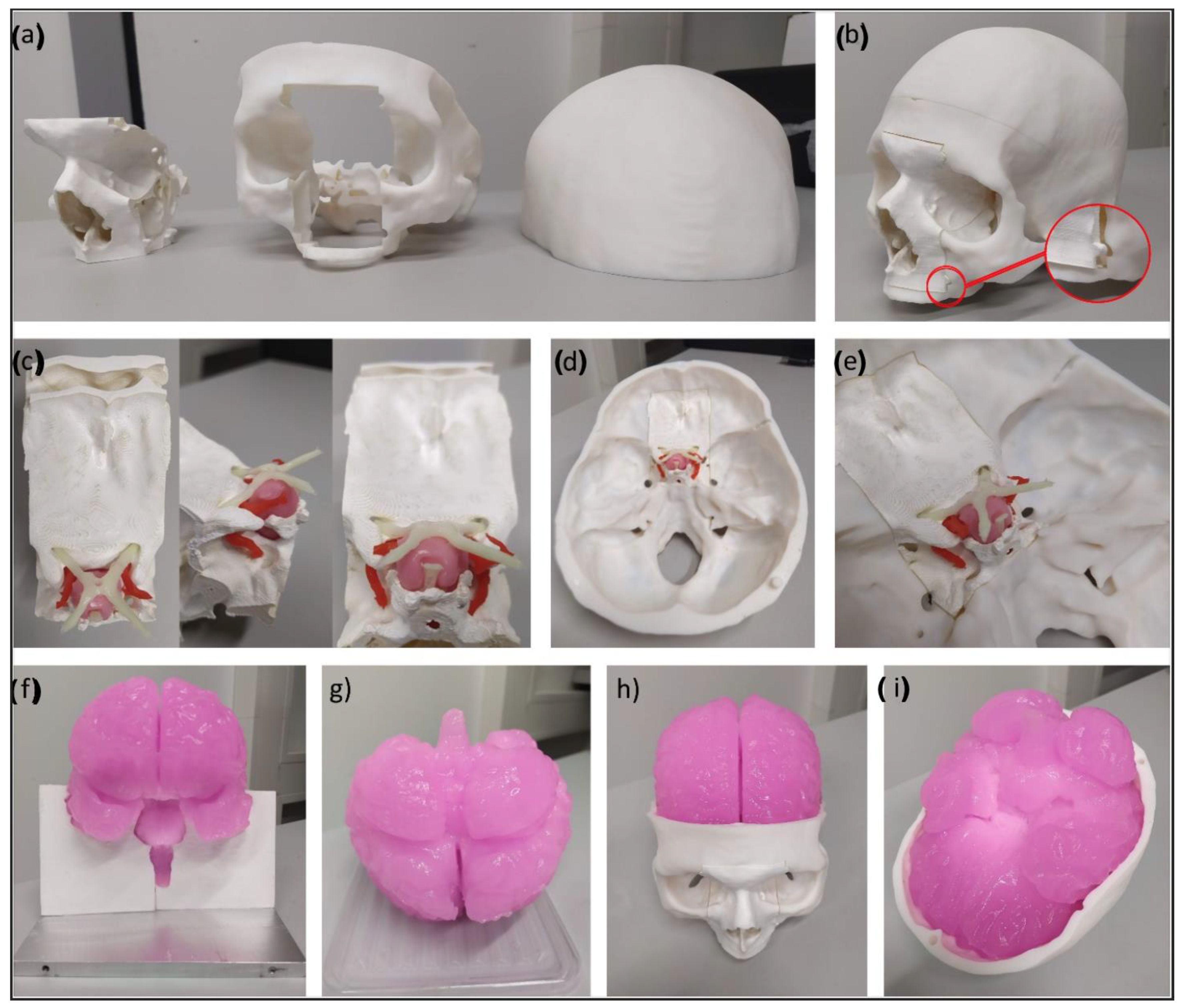 Bioengineering 09 00537 g007 Bioengineering 09 00537 g007