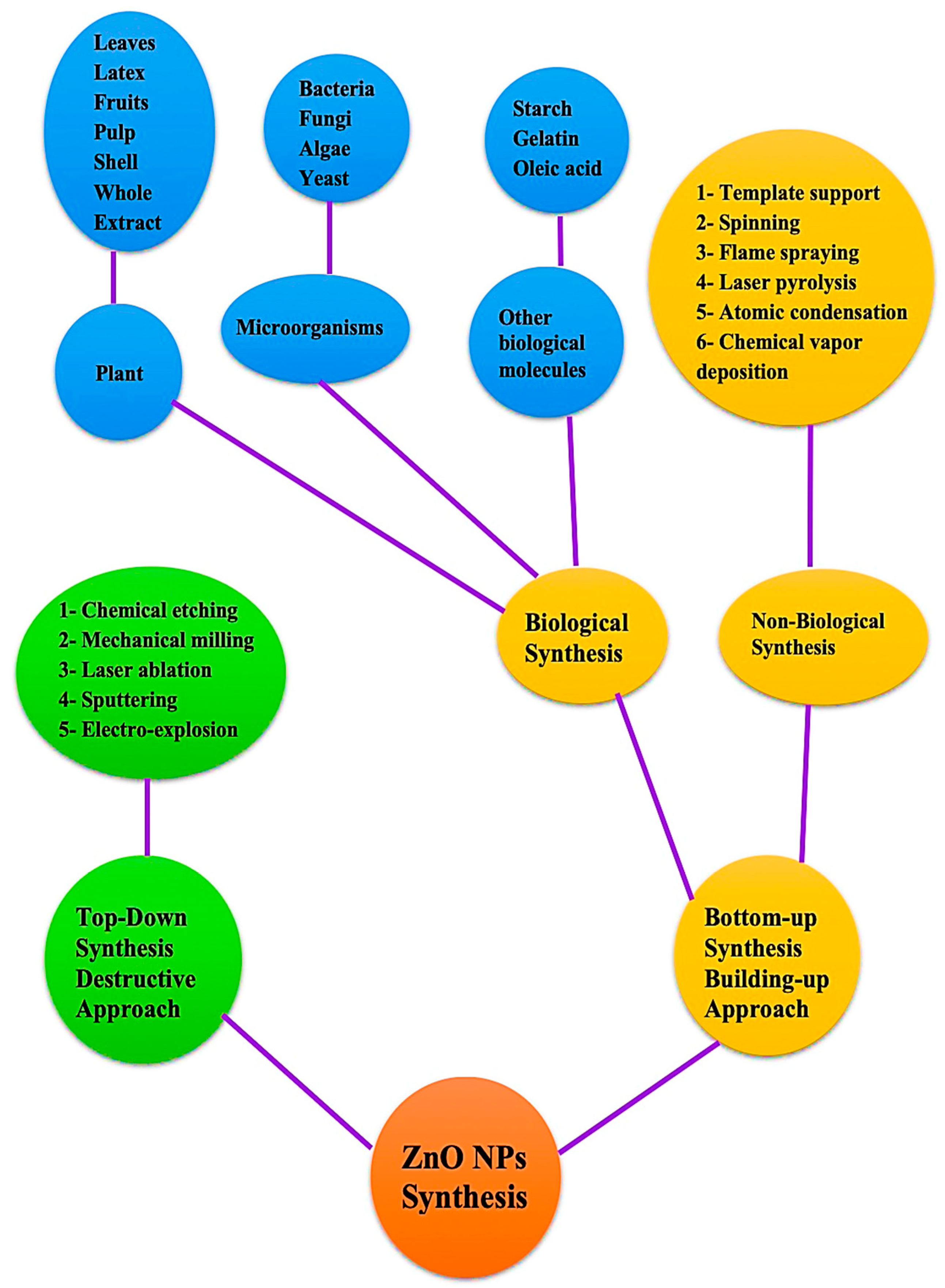 Bioengineering 09 00541 g002 Bioengineering 09 00541 g002