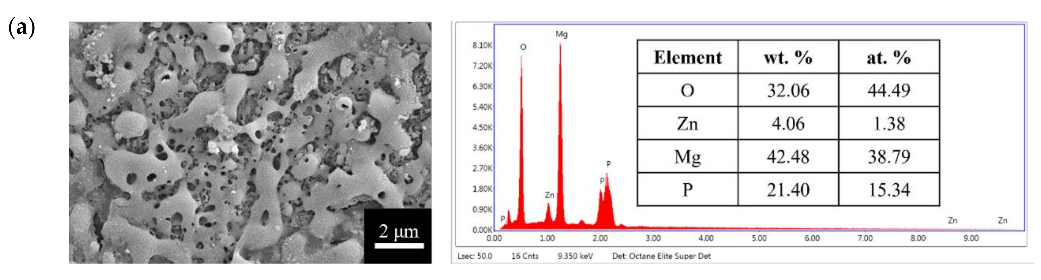 Bioengineering 09 00542 g002a