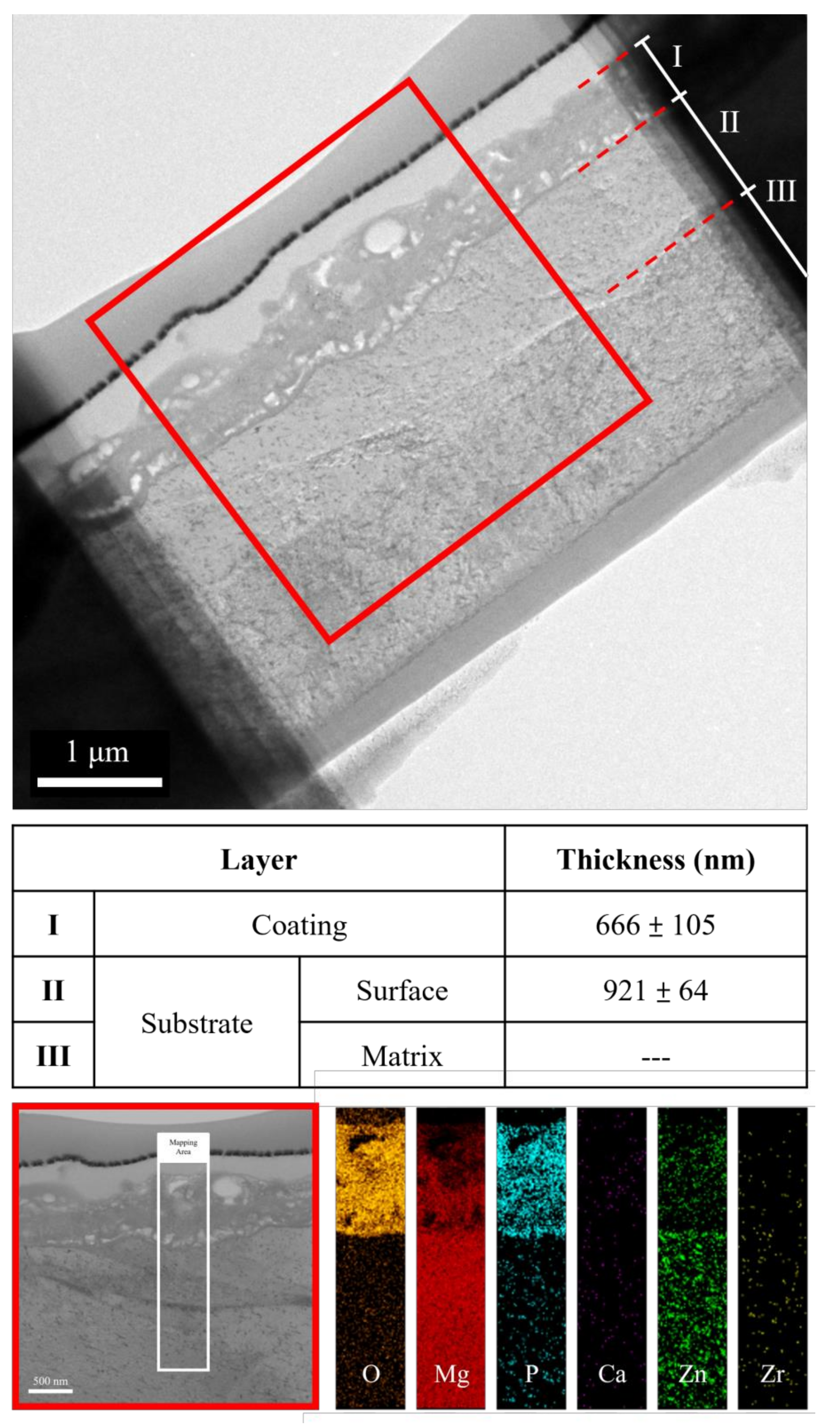 Bioengineering 09 00542 g006