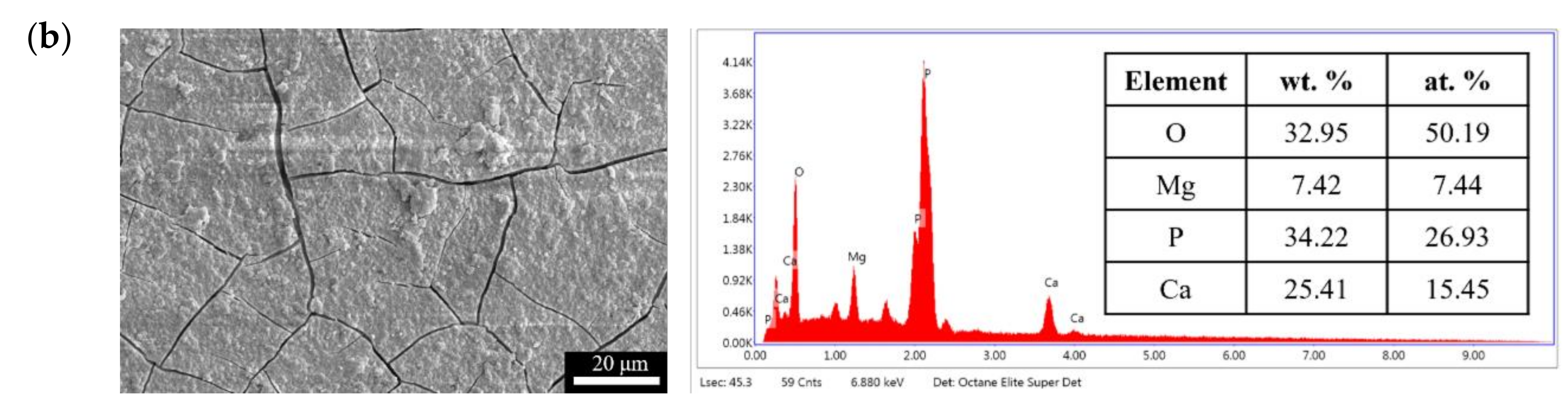 Bioengineering 09 00542 g011b