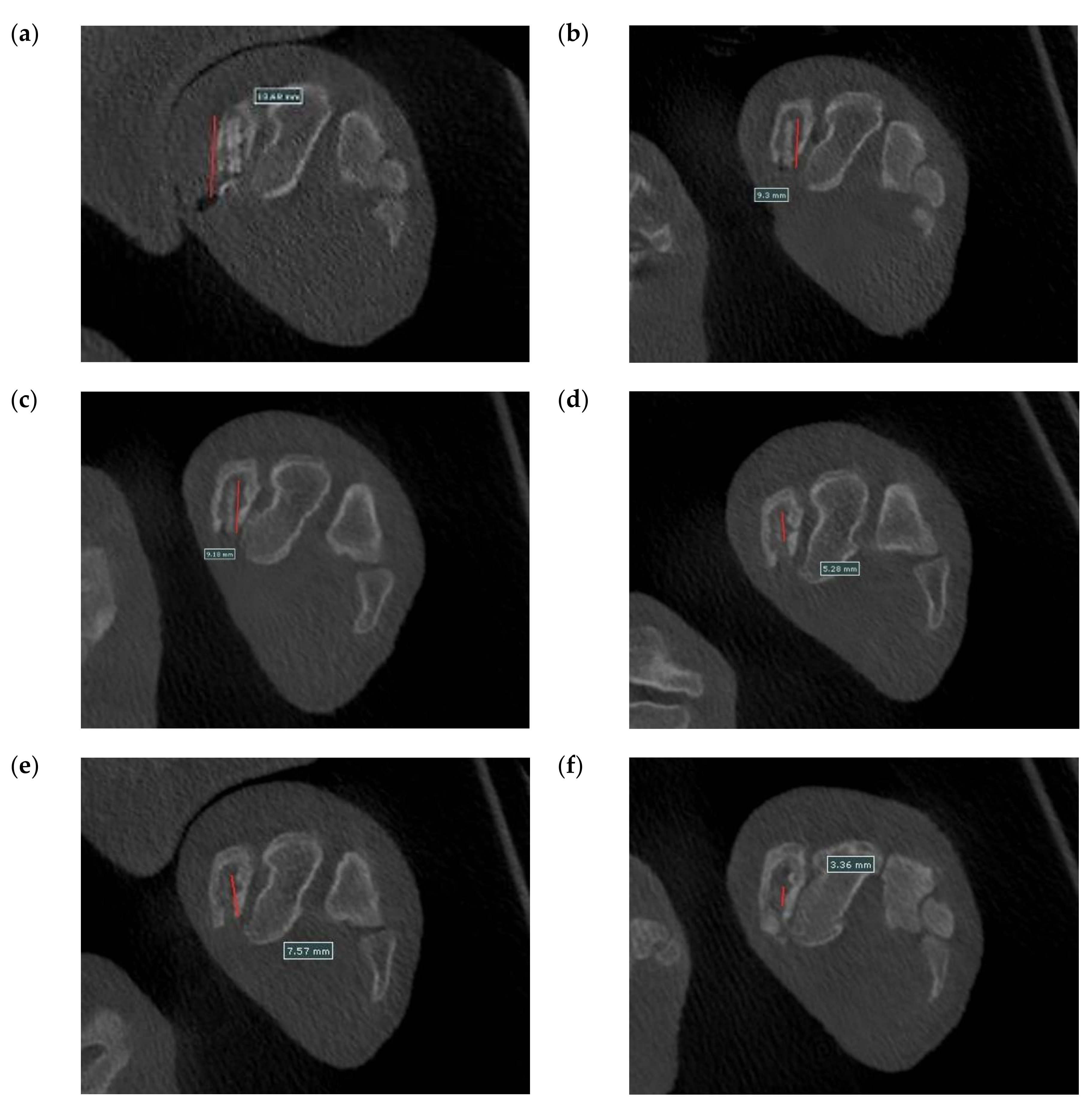 Bioengineering 09 00542 g022
