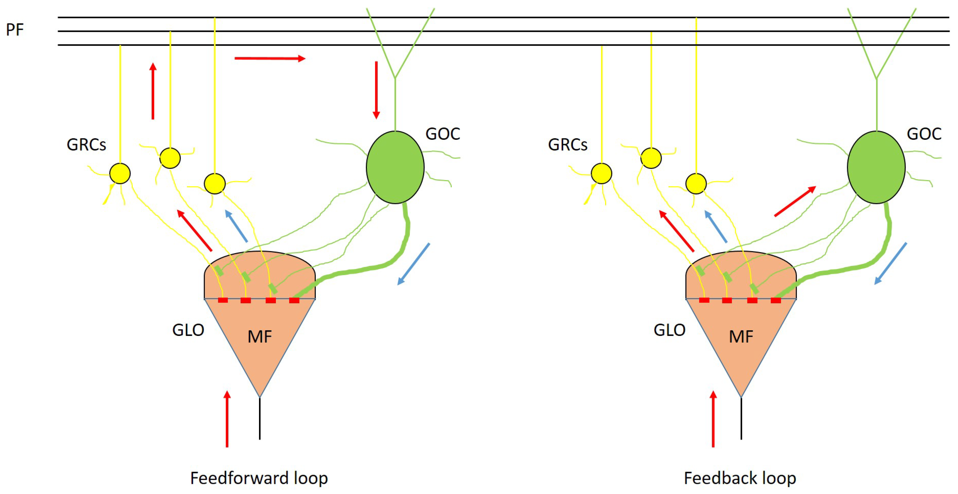 Bioengineering 09 00543 g001