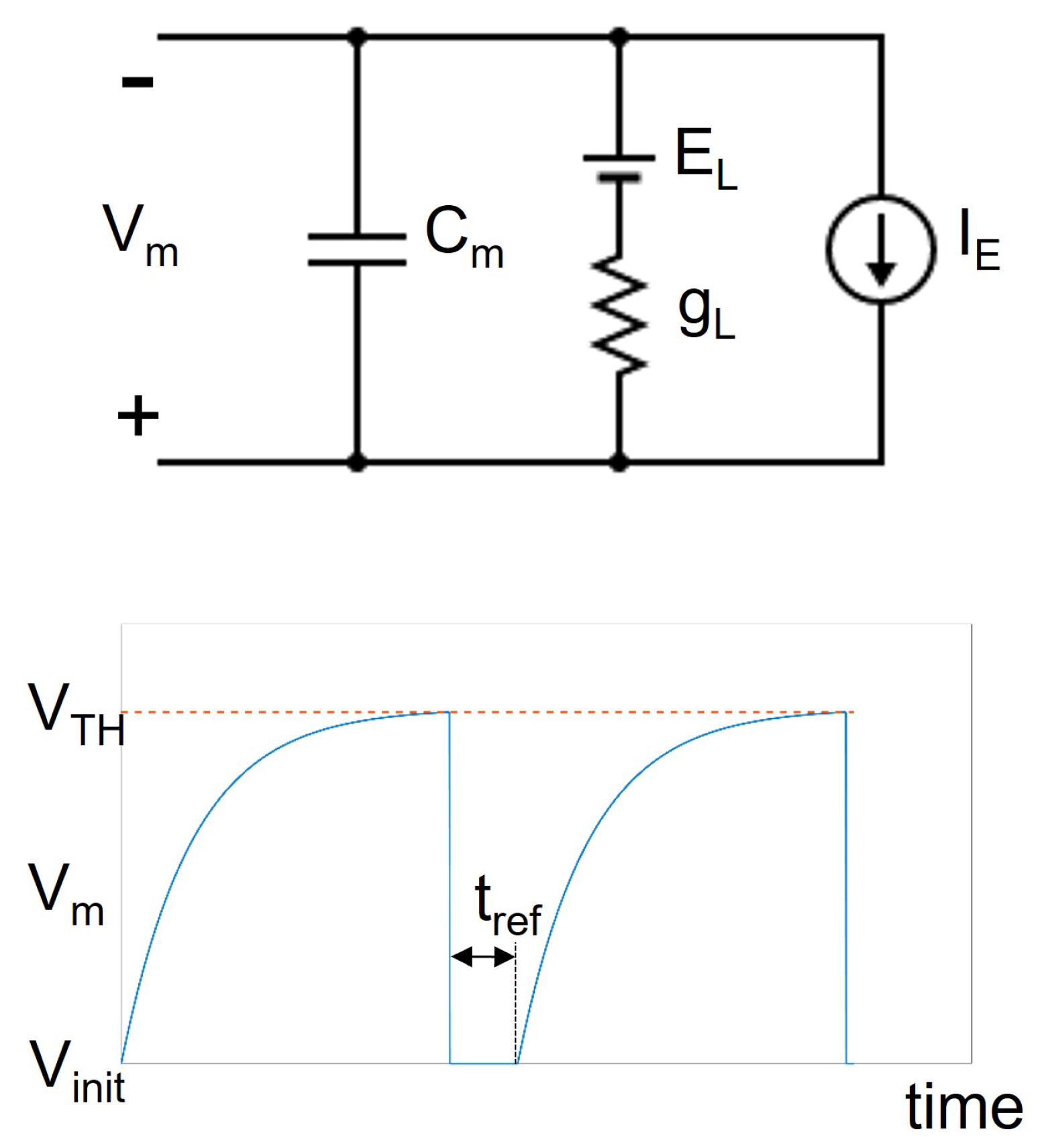 Bioengineering 09 00543 g002