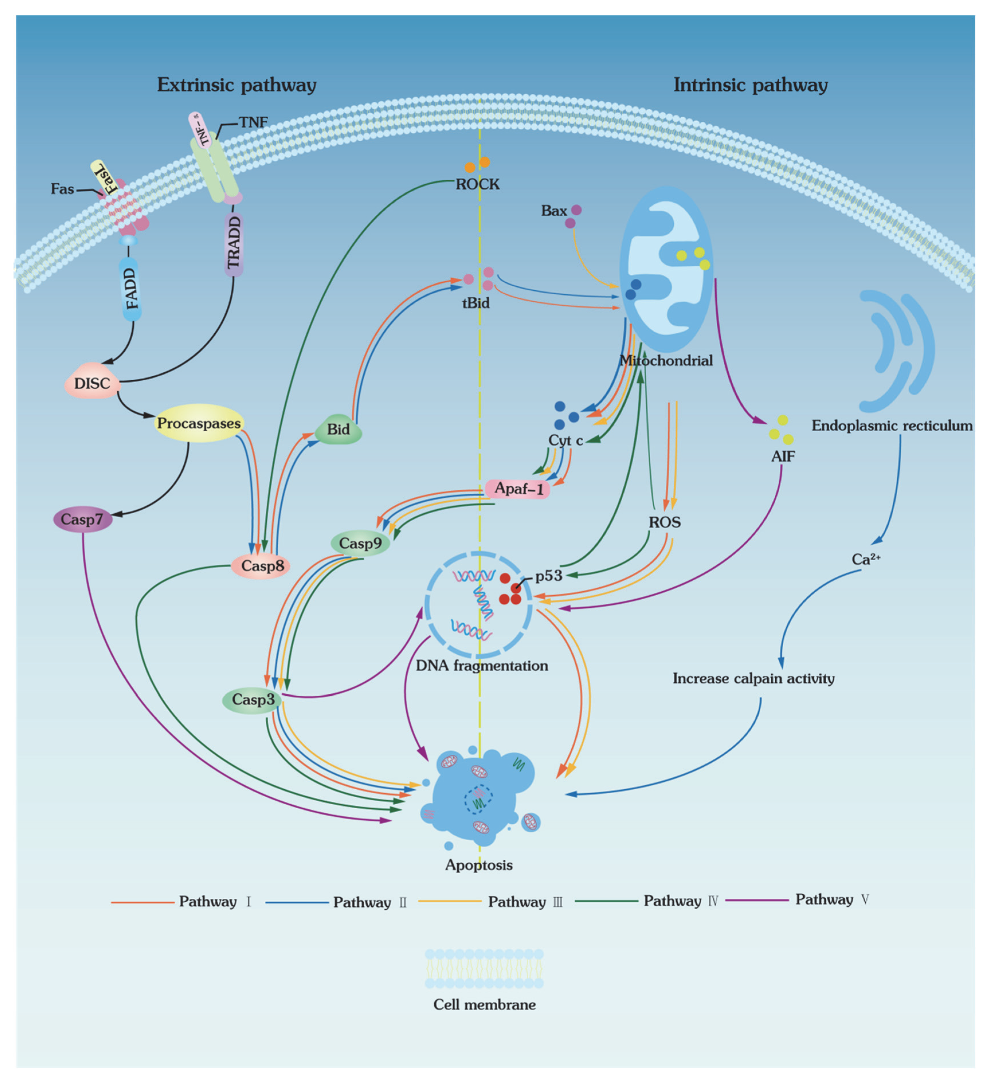 Bioengineering 09 00545 g002 Bioengineering 09 00545 g002