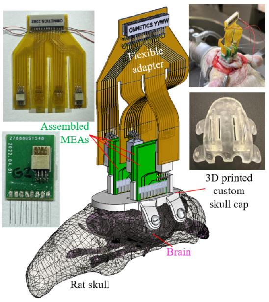 Bioengineering 09 00550 g001
