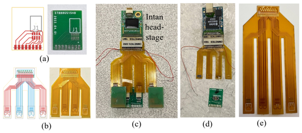 Bioengineering 09 00550 g002