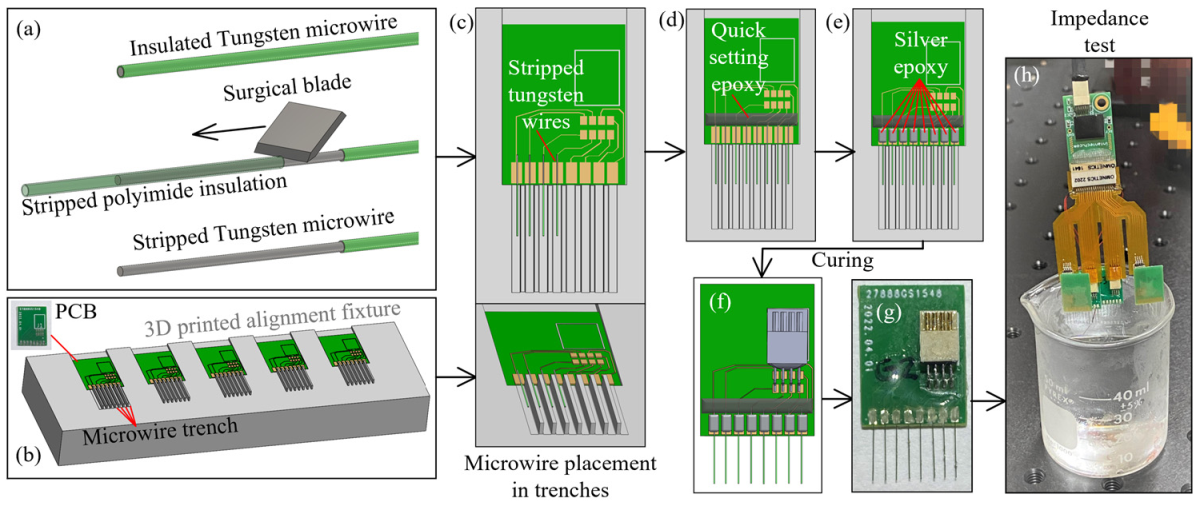 Bioengineering 09 00550 g005