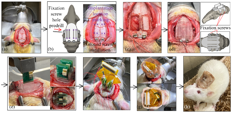 Bioengineering 09 00550 g006