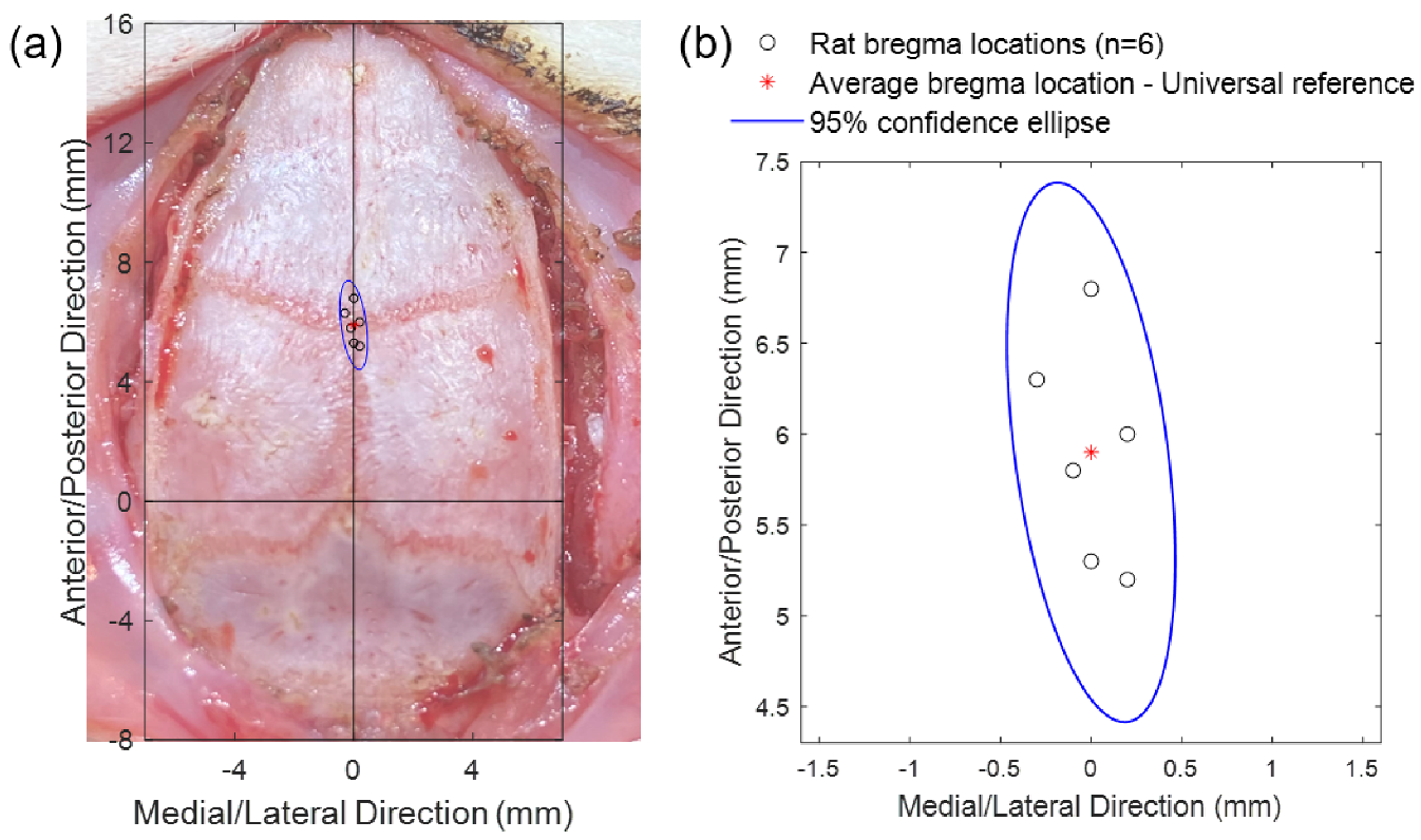 Bioengineering 09 00550 g007