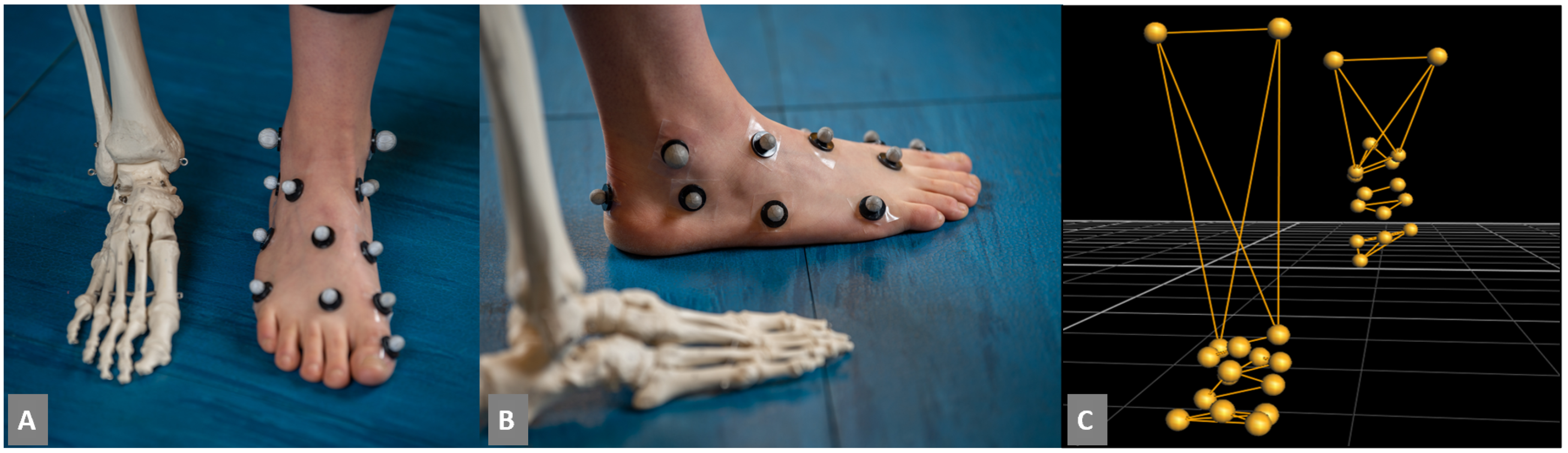 Bioengineering 09 00552 g001