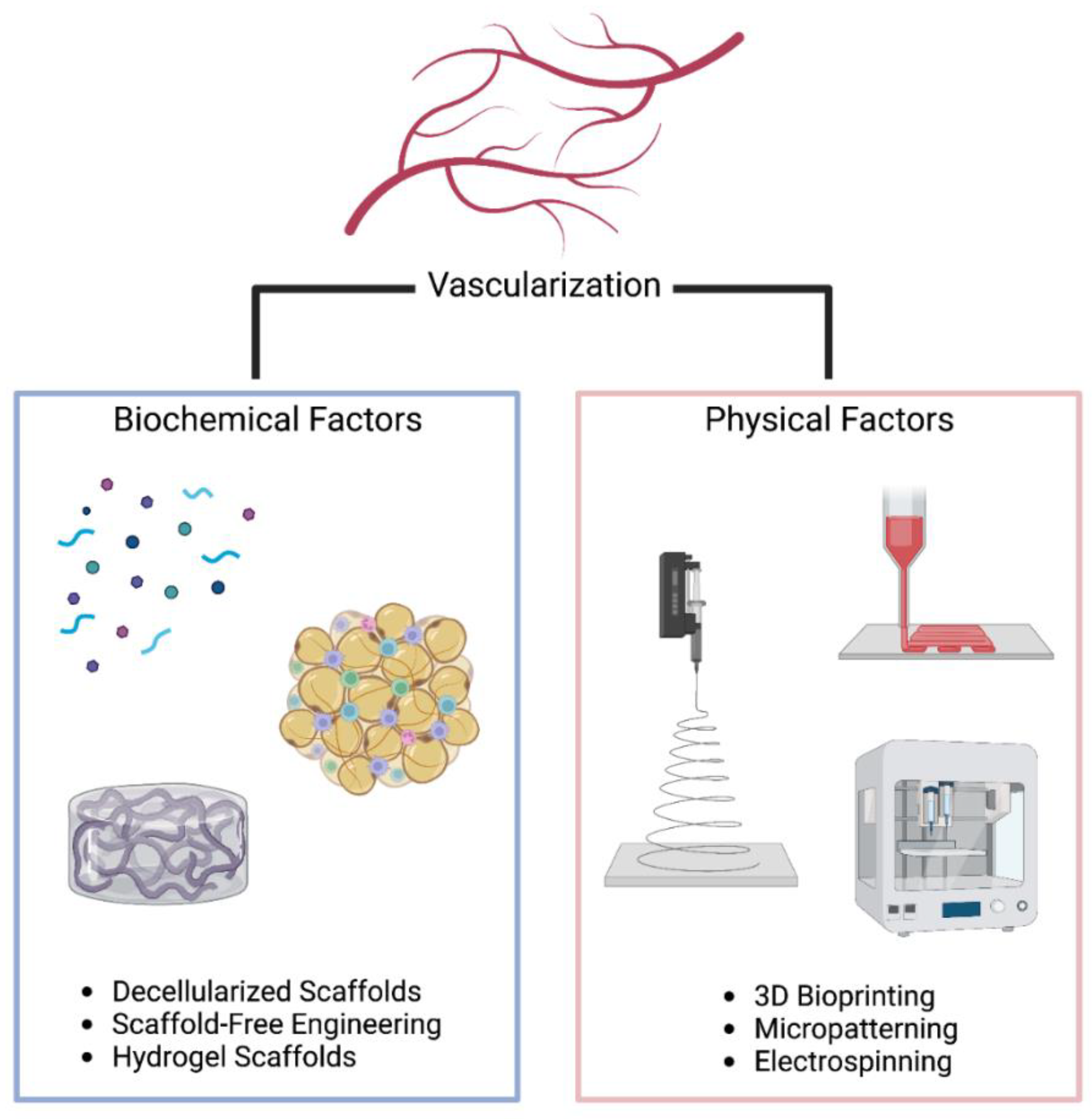 Bioengineering 09 00555 g001