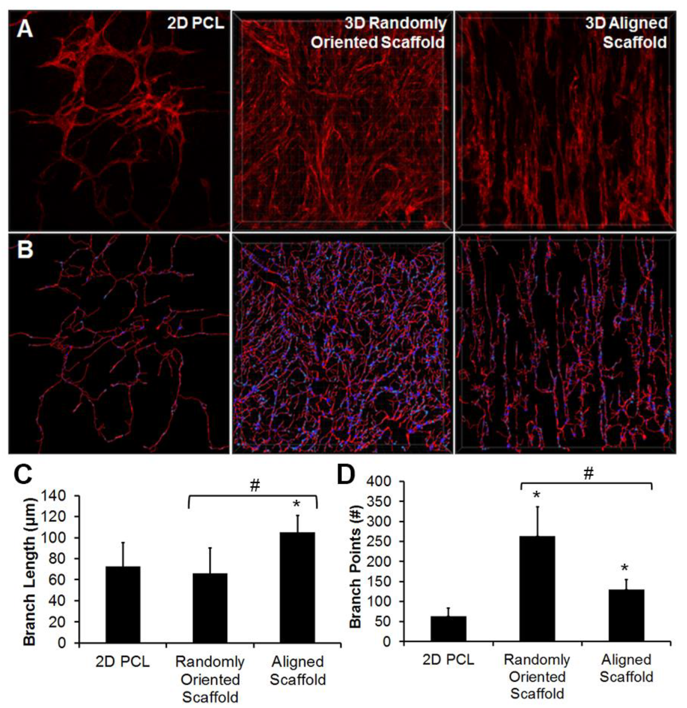 Bioengineering 09 00555 g002