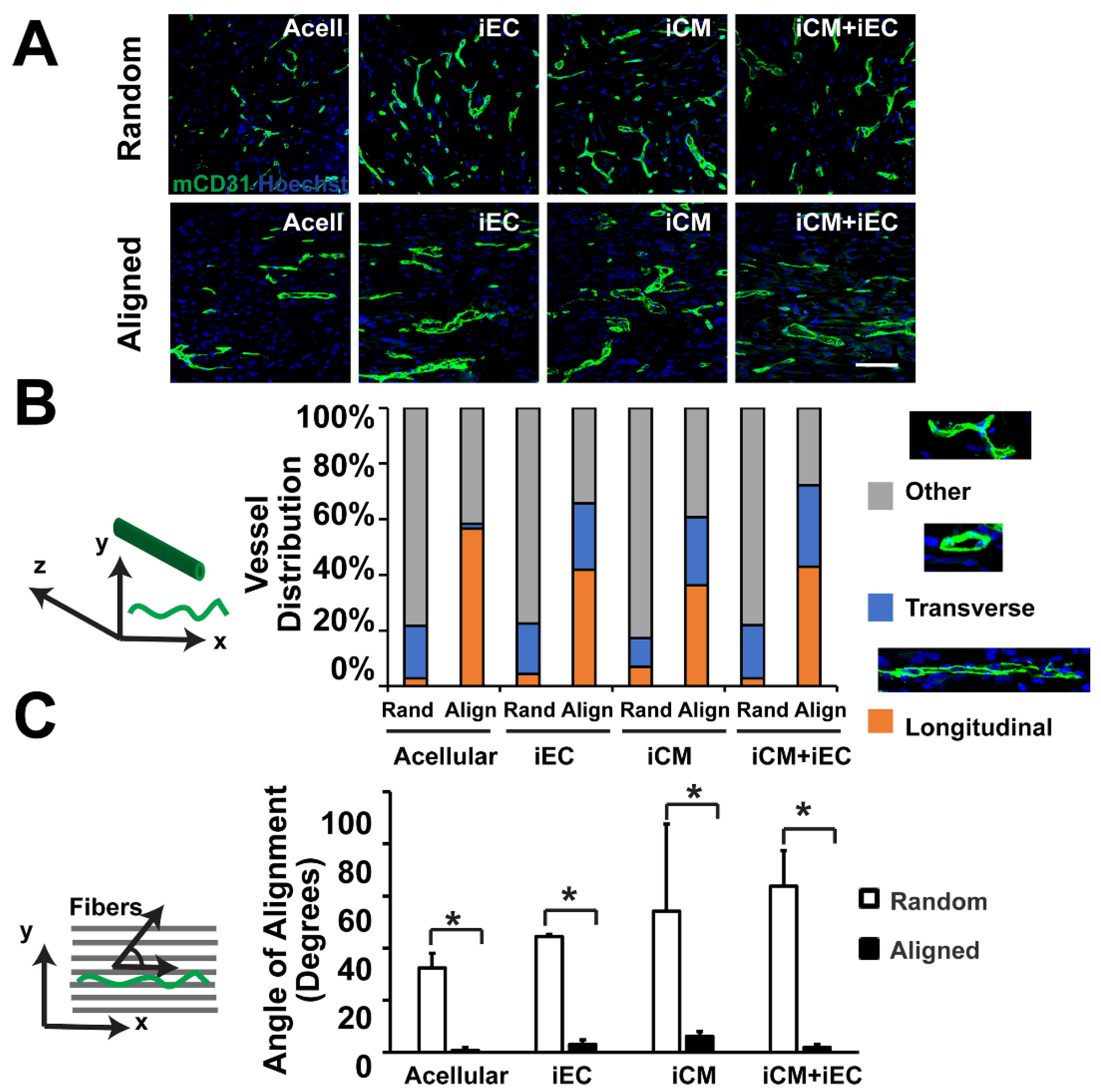 Bioengineering 09 00555 g003