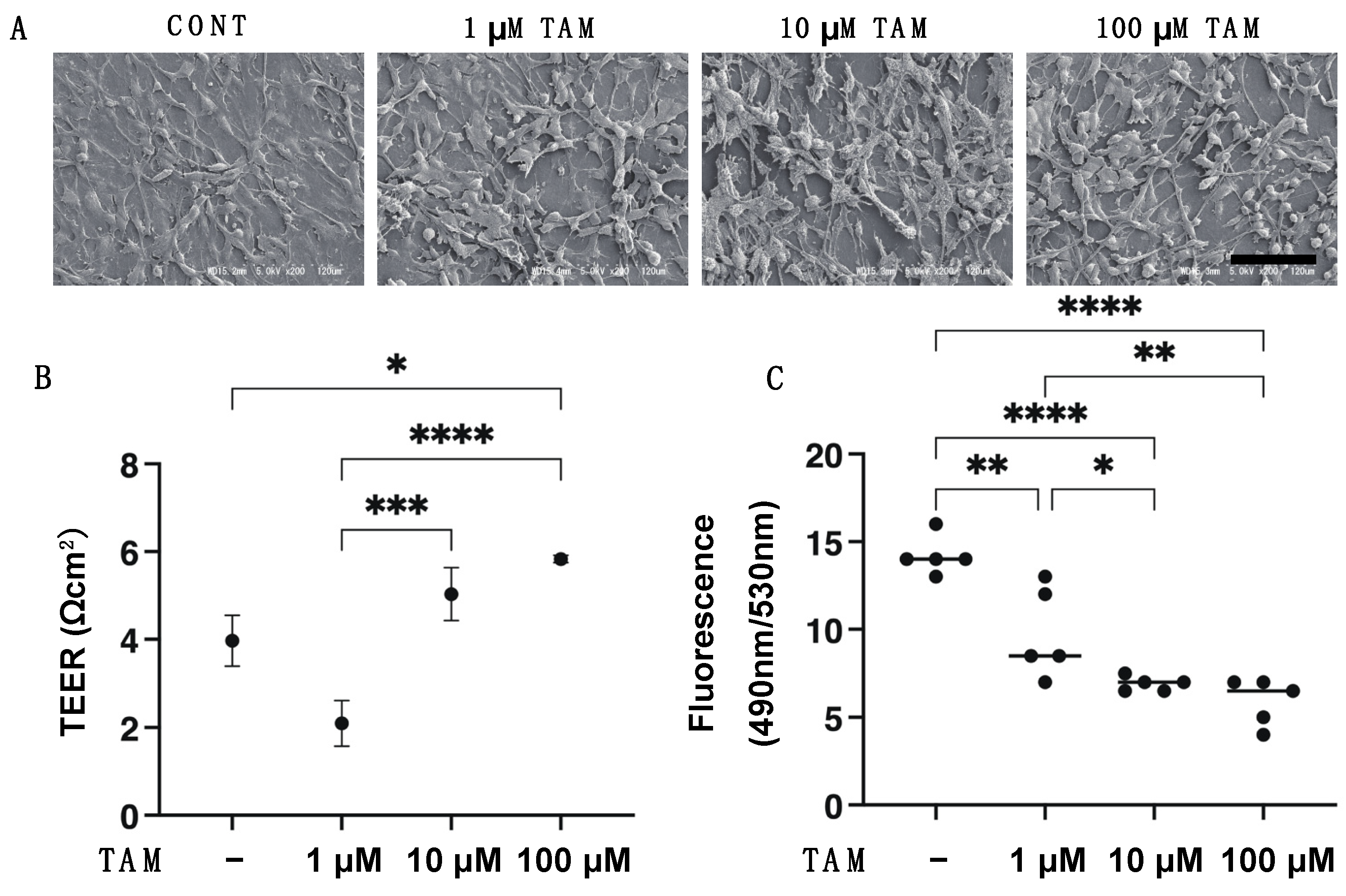Bioengineering 09 00556 g001