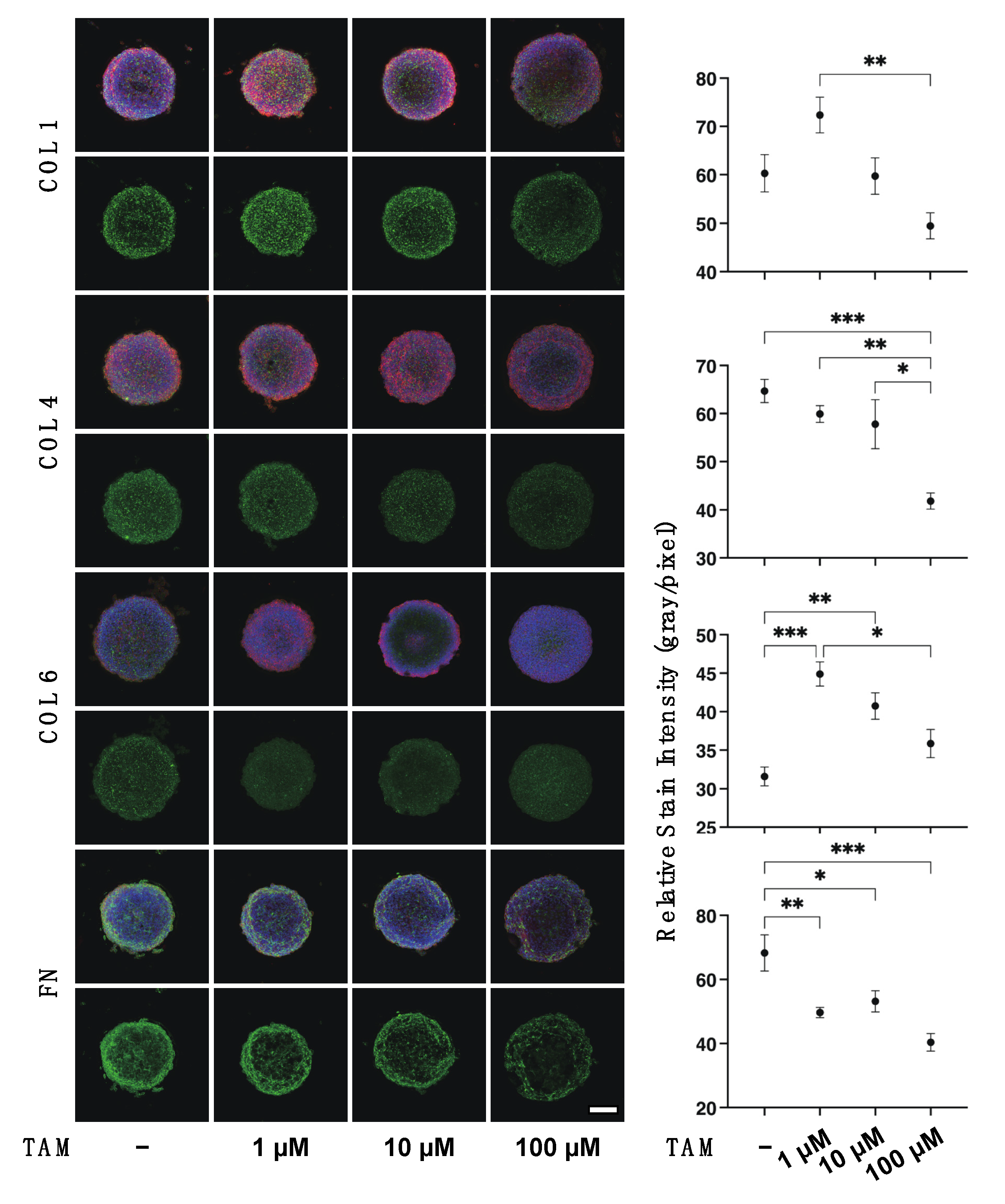 Bioengineering 09 00556 g006