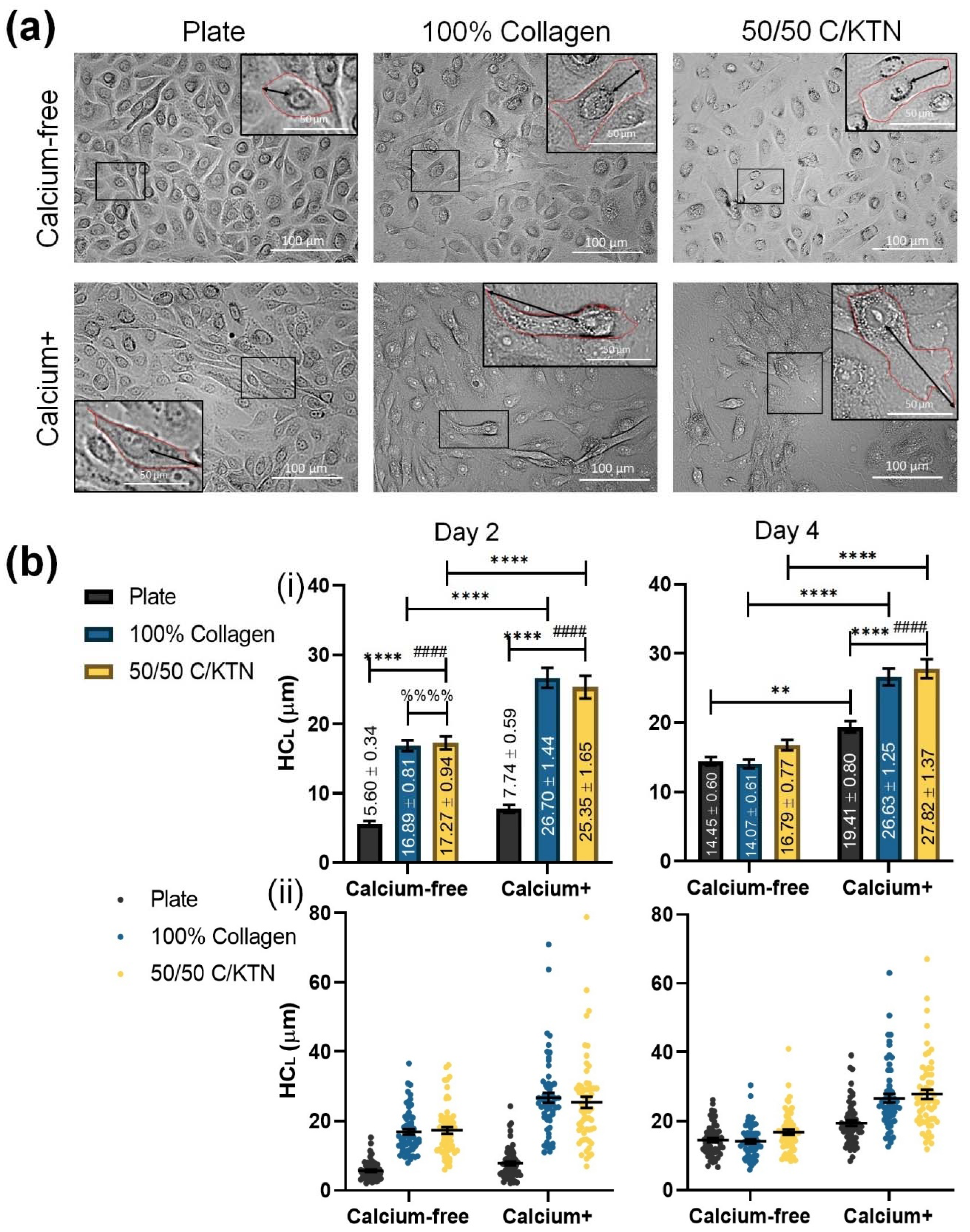 Bioengineering 09 00559 g004 Bioengineering 09 00559 g004