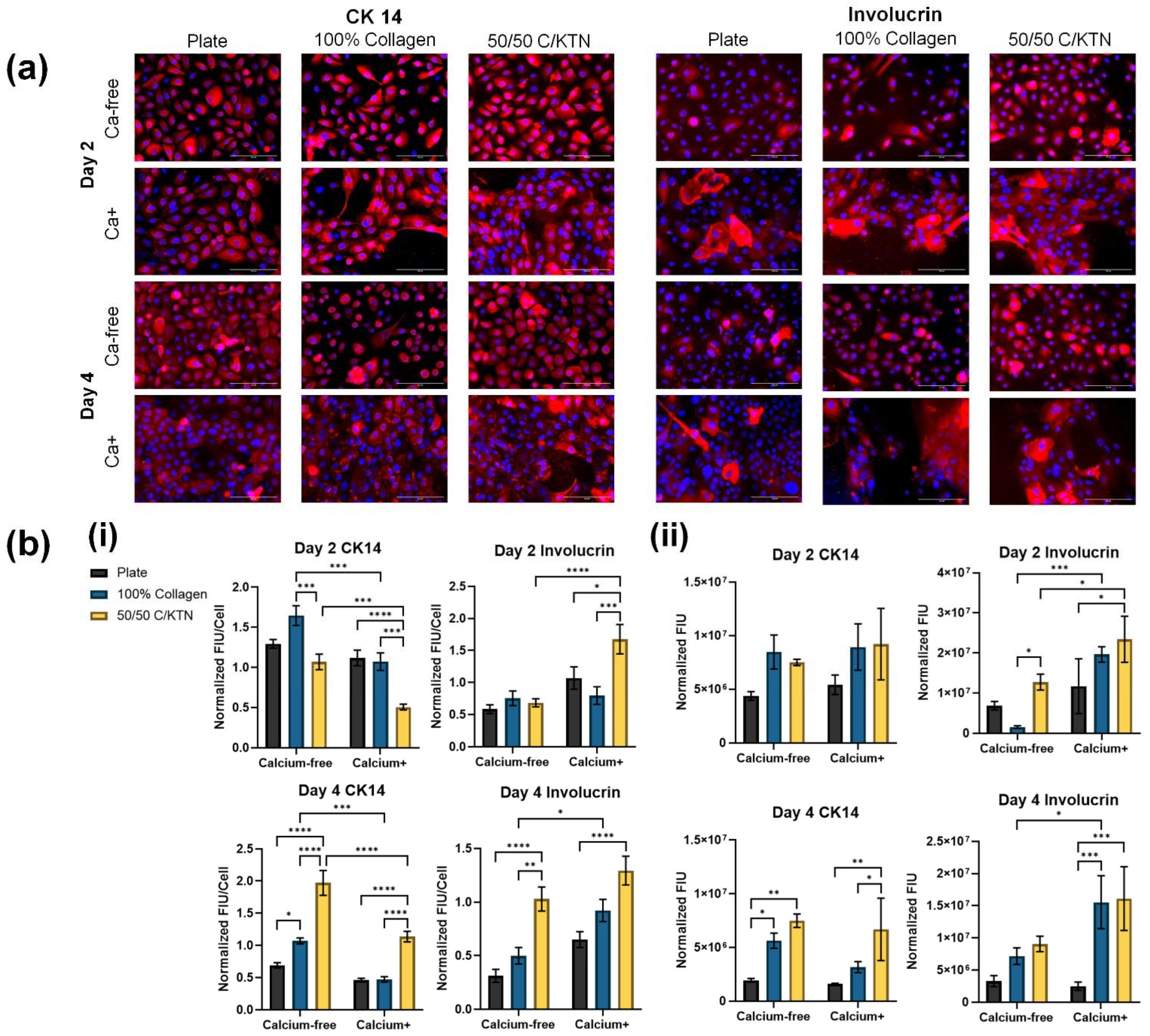 Bioengineering 09 00559 g005 Bioengineering 09 00559 g005