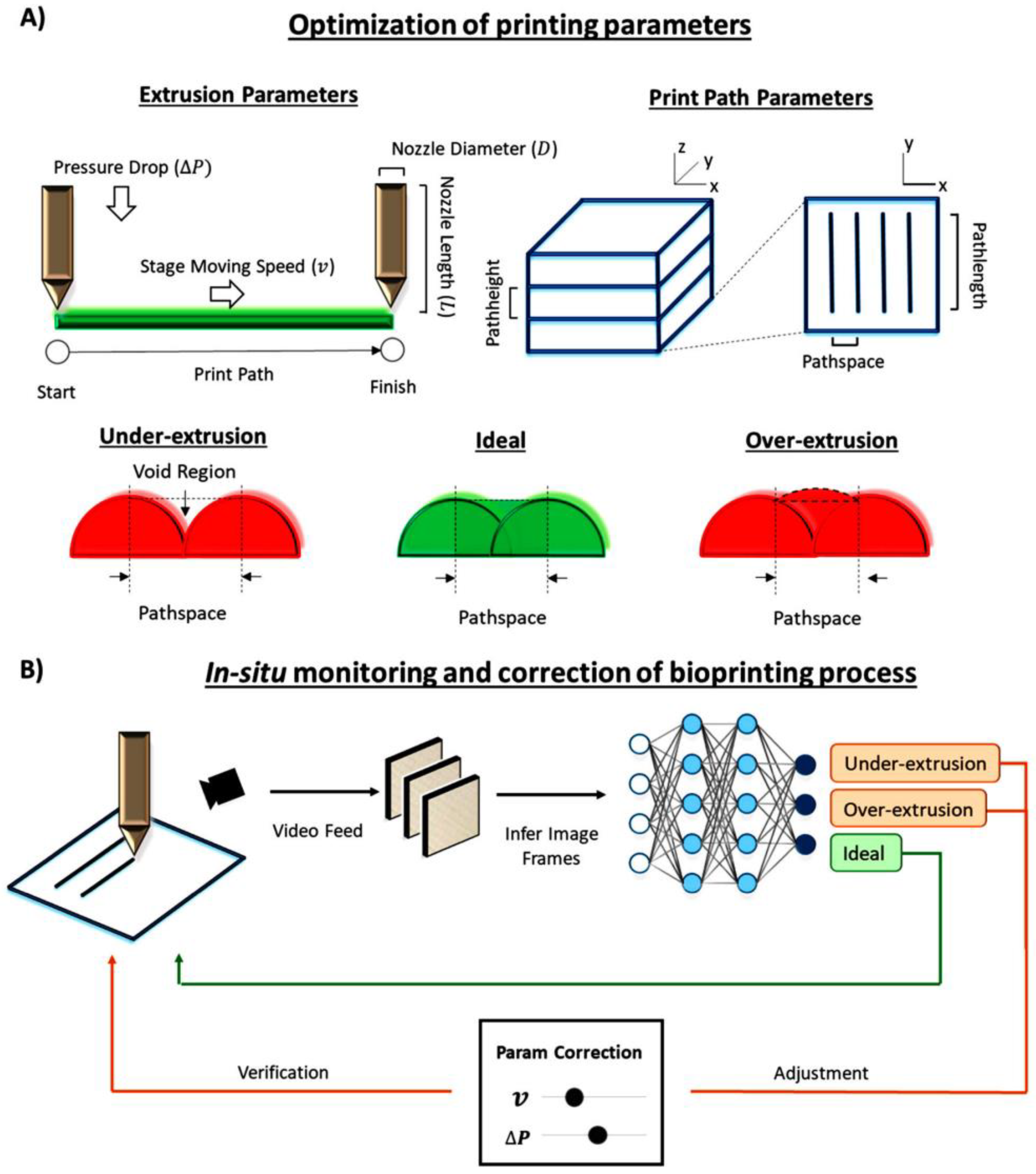 Bioengineering 09 00561 g009