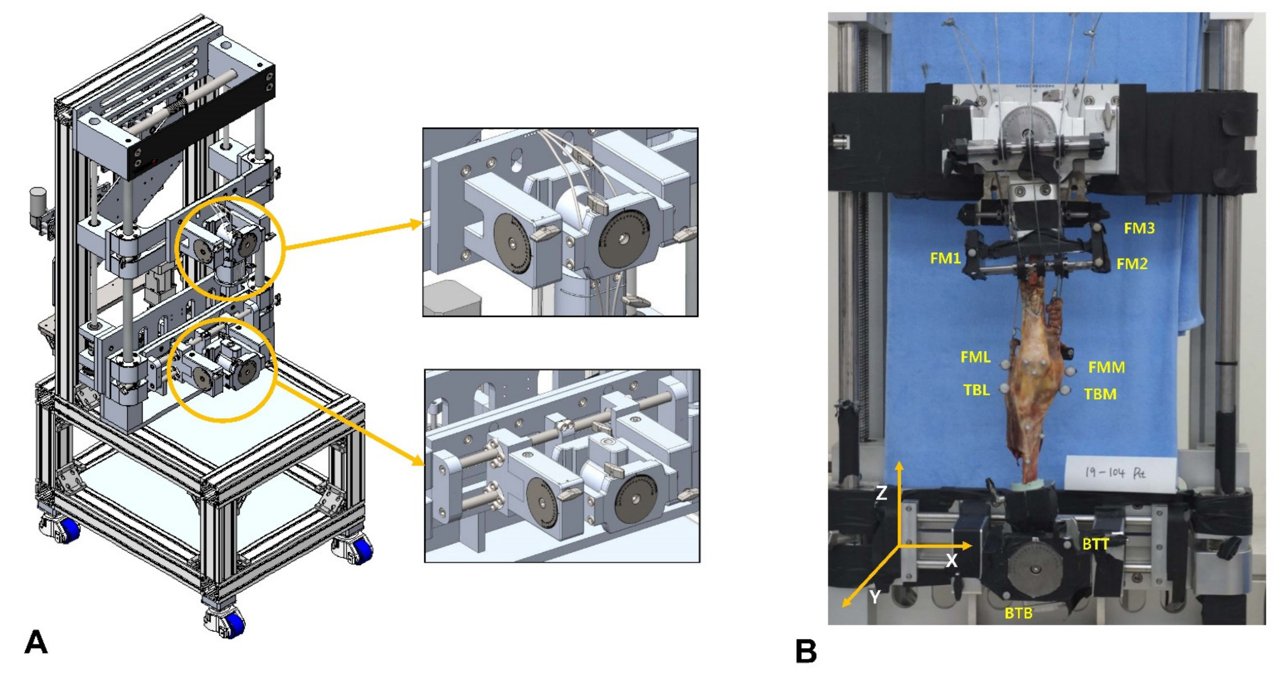 Bioengineering 09 00564 g002 Bioengineering 09 00564 g002
