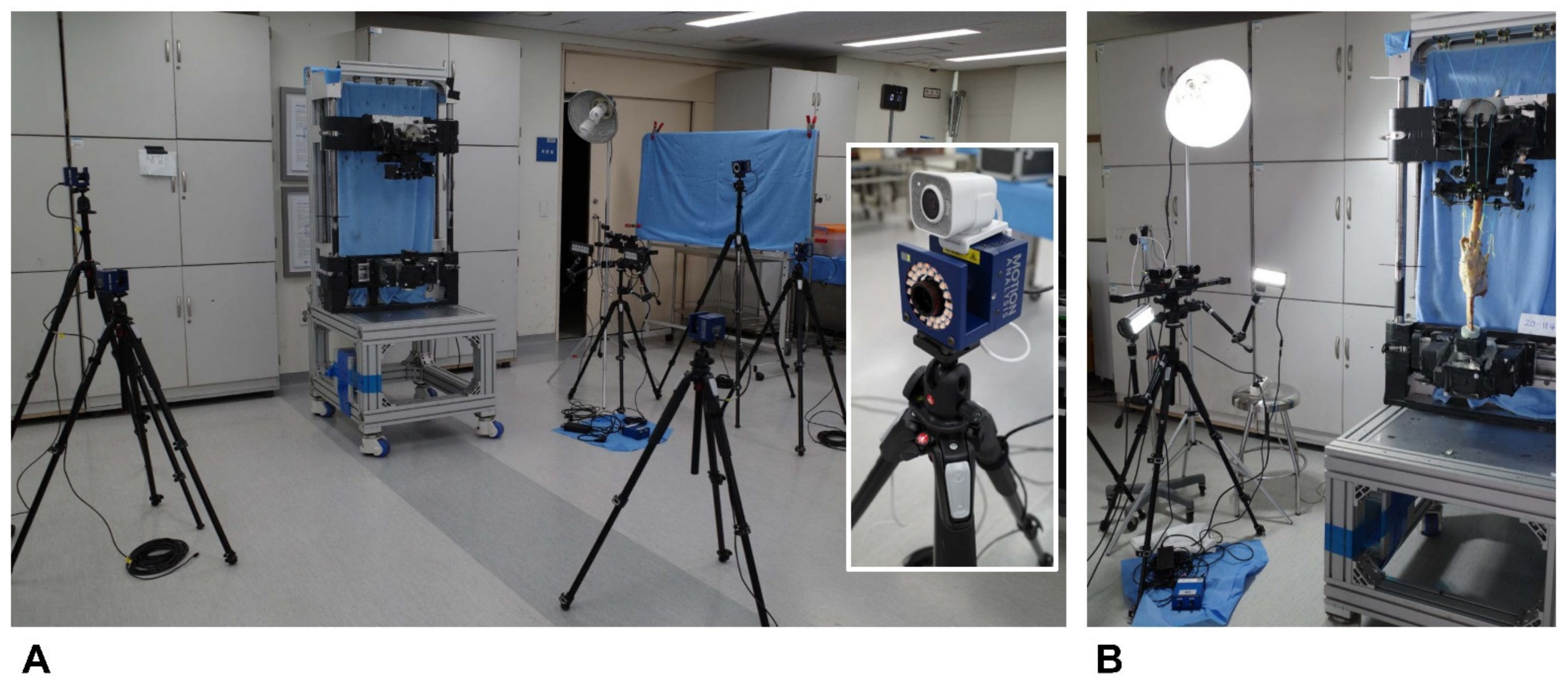 Bioengineering 09 00564 g003 Bioengineering 09 00564 g003