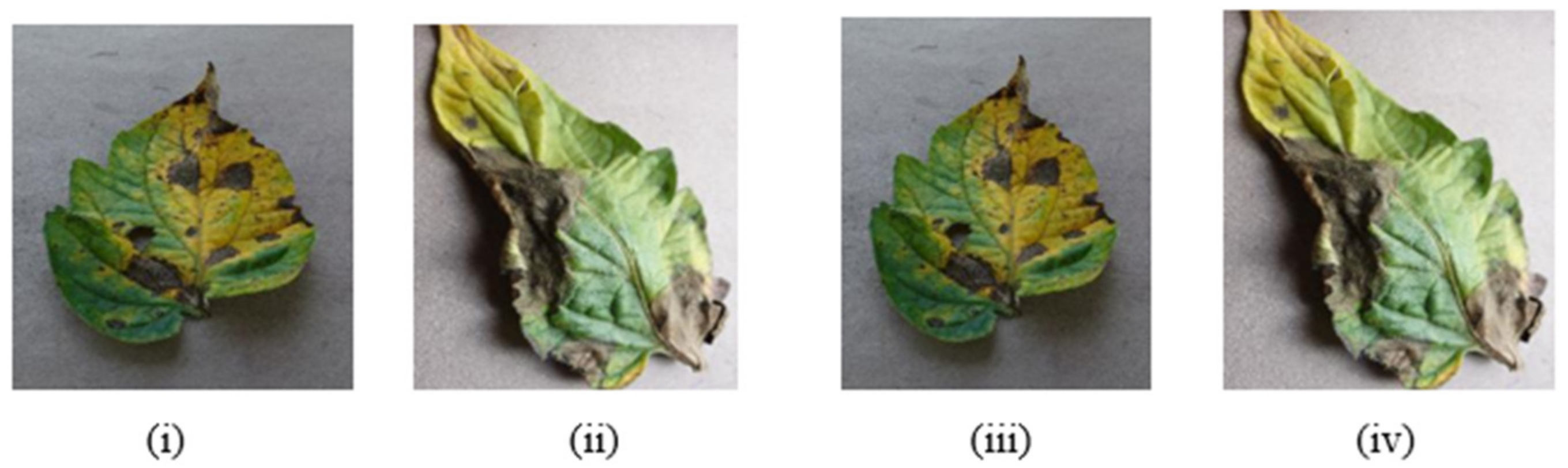 Bioengineering | Free Full-Text | RTF-RCNN: An Architecture for Real ...