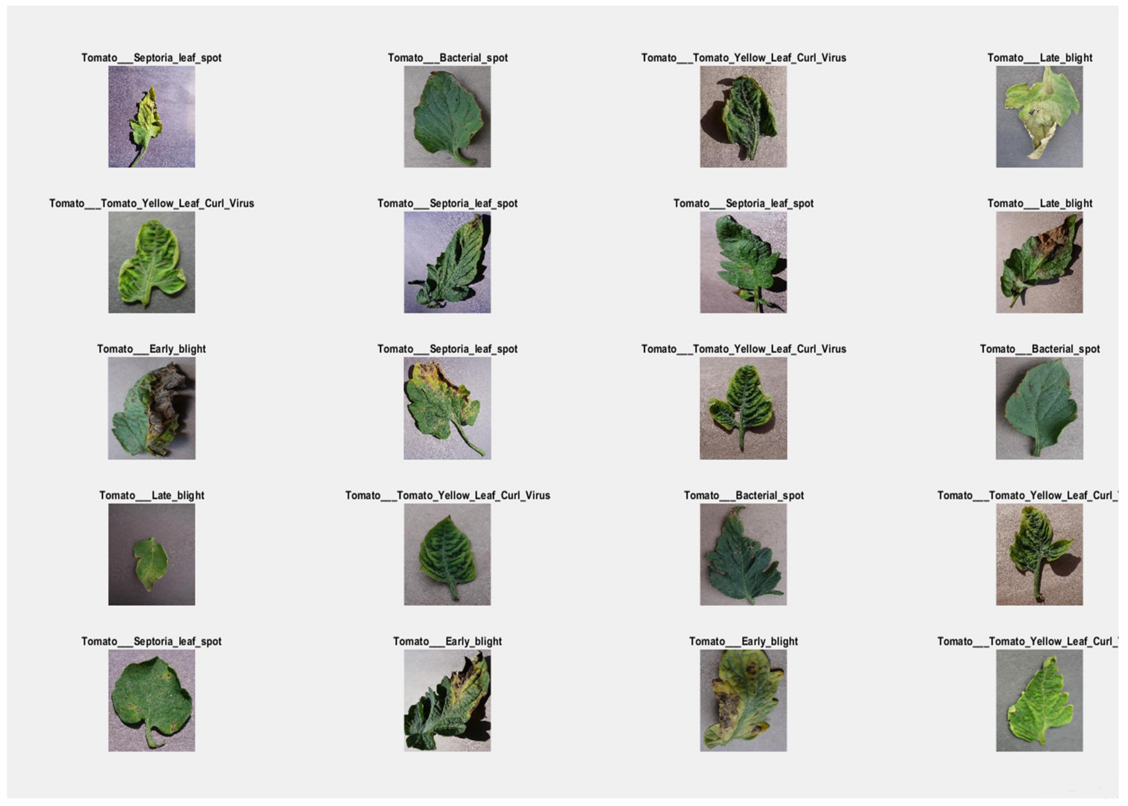 Bioengineering 09 00565 g012 Bioengineering 09 00565 g012