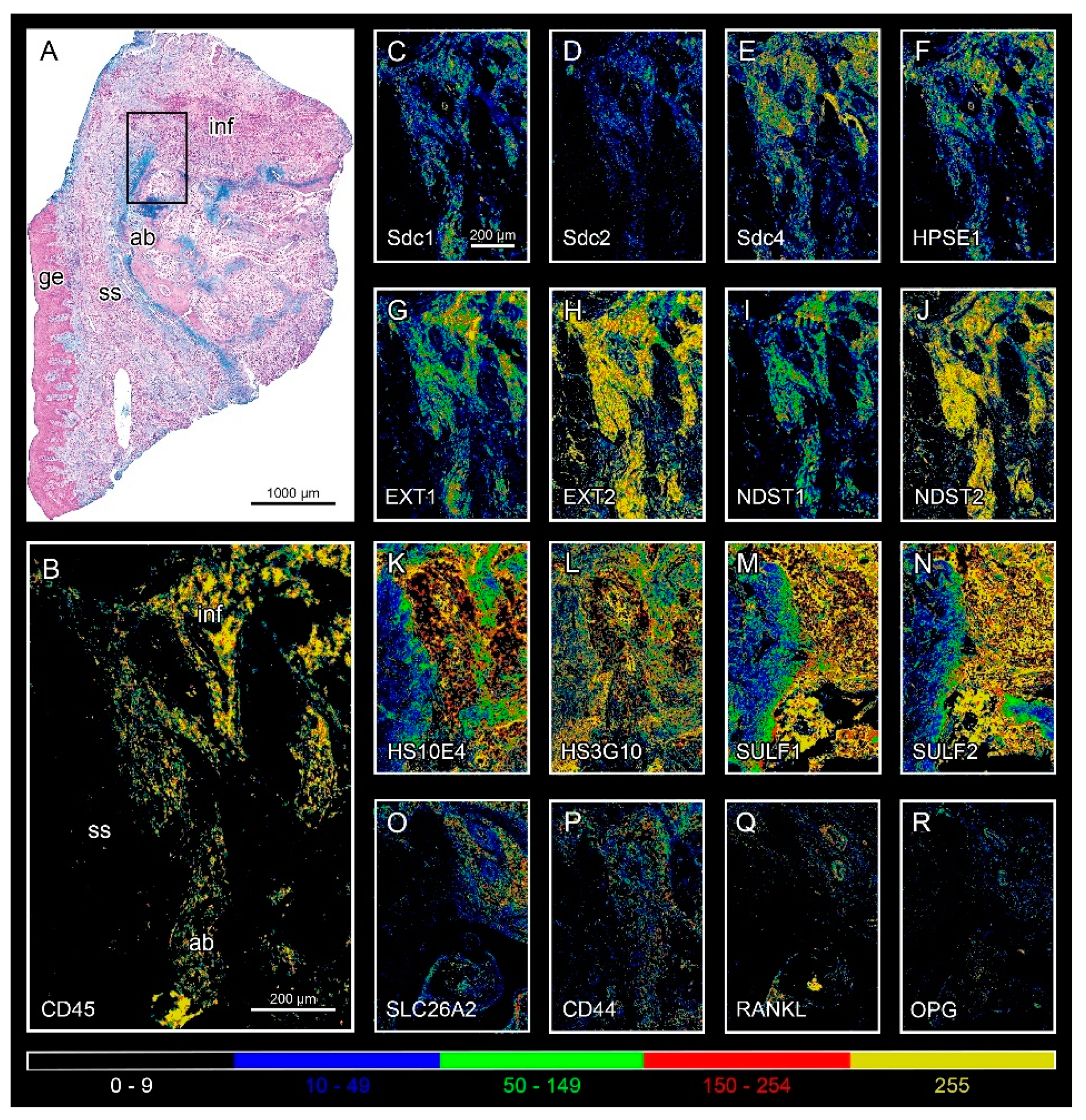 Bioengineering 09 00566 g002 Bioengineering 09 00566 g002