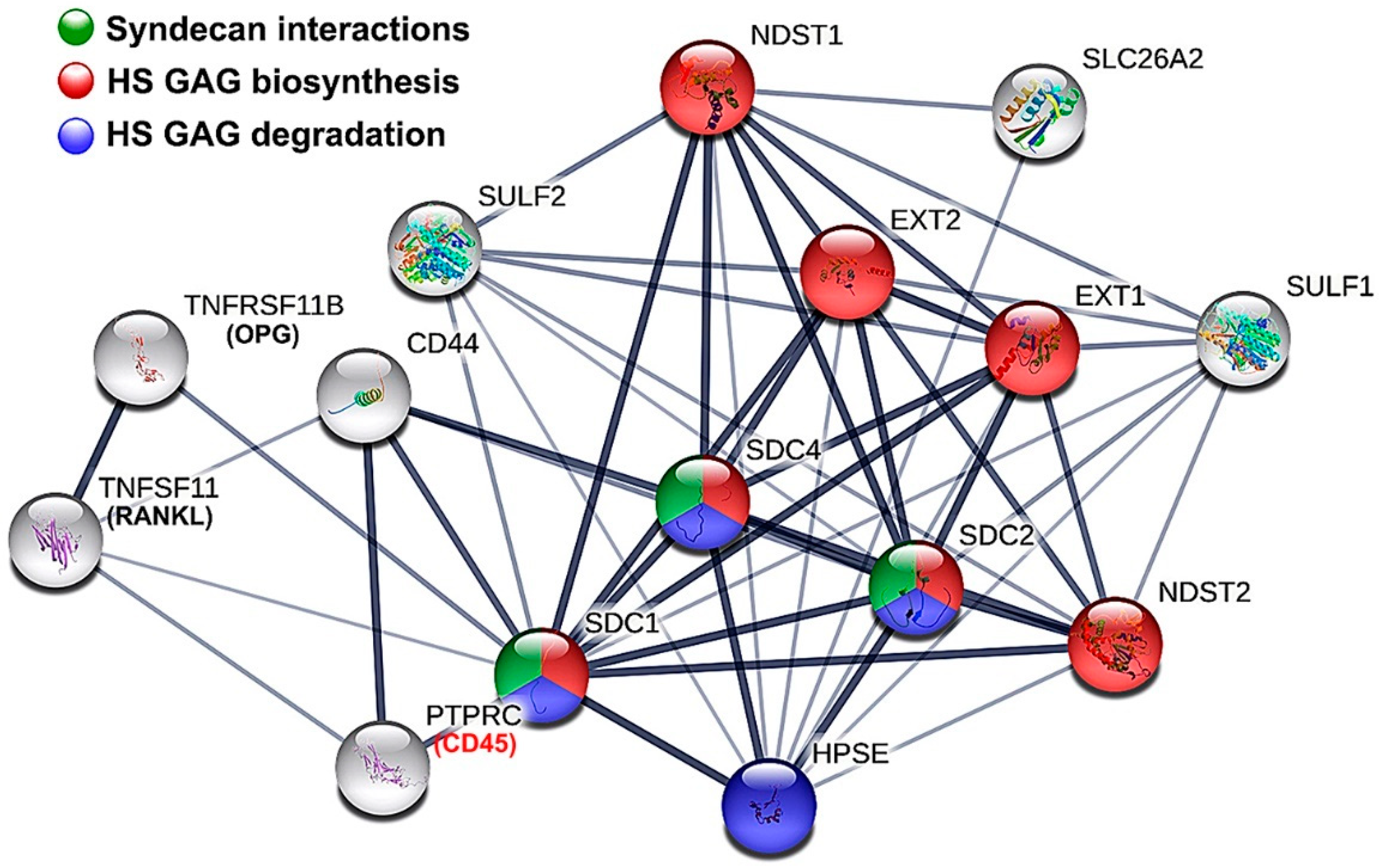 Bioengineering 09 00566 g004 Bioengineering 09 00566 g004