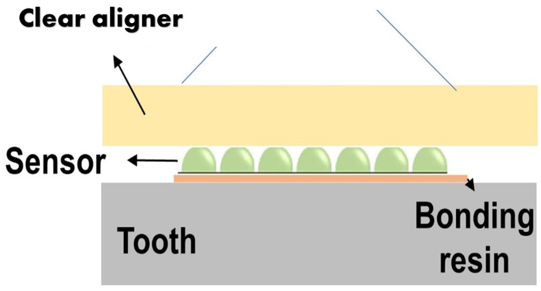 Bioengineering 09 00570 g002