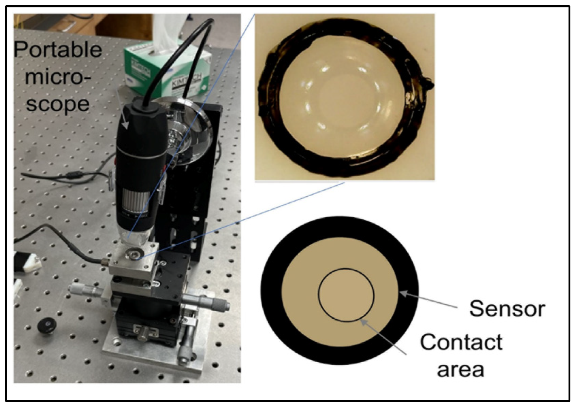 Bioengineering 09 00570 g005