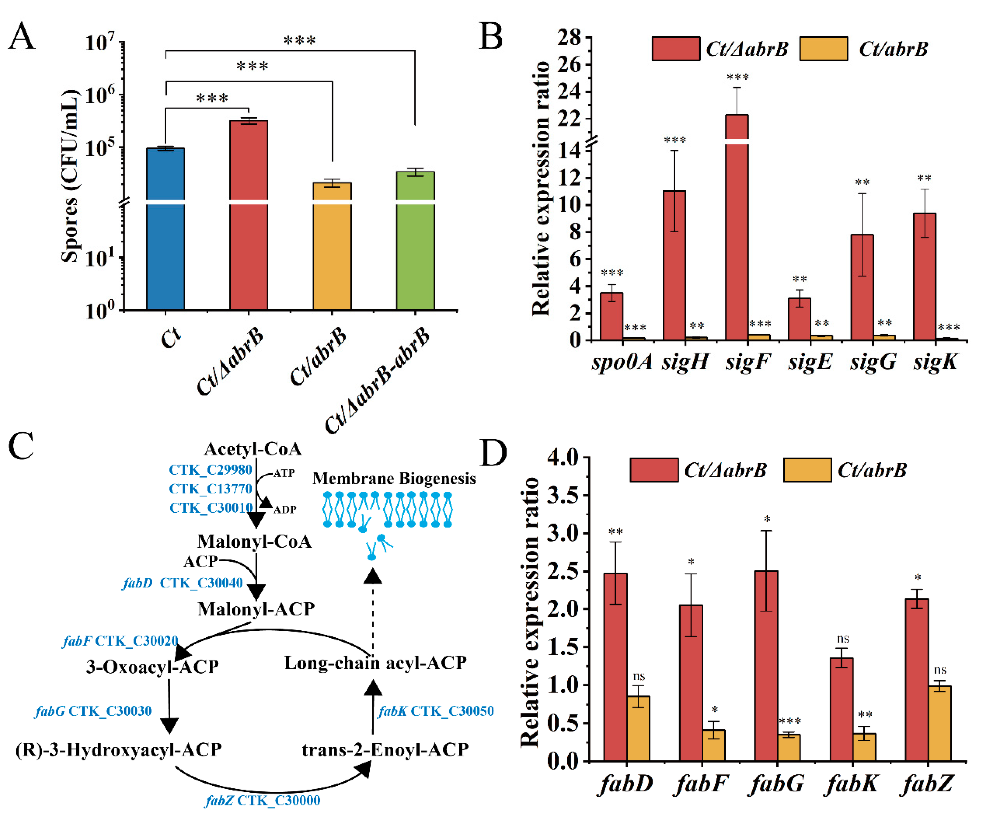 Bioengineering 09 00575 g003 Bioengineering 09 00575 g003