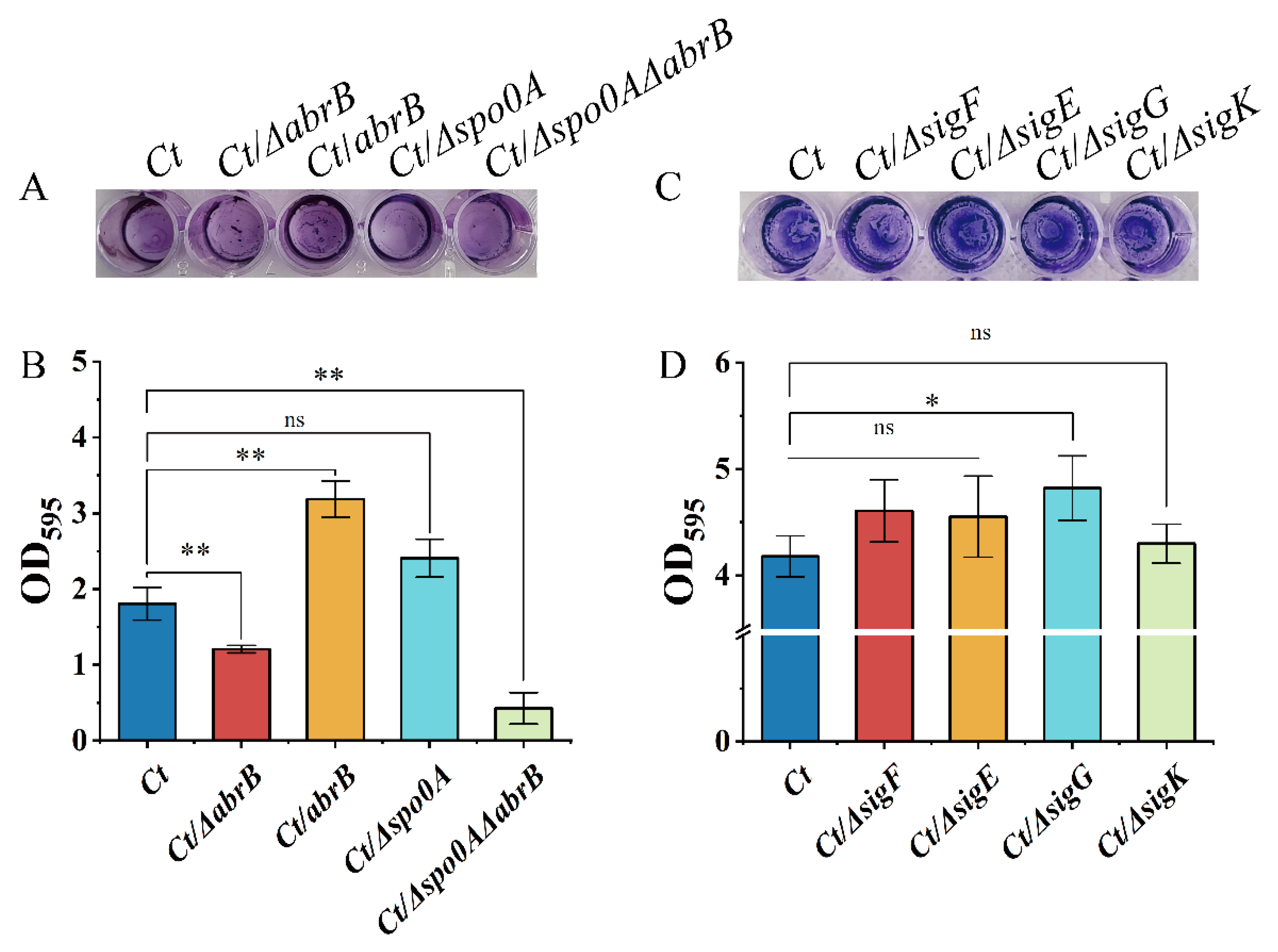 Bioengineering 09 00575 g004 Bioengineering 09 00575 g004