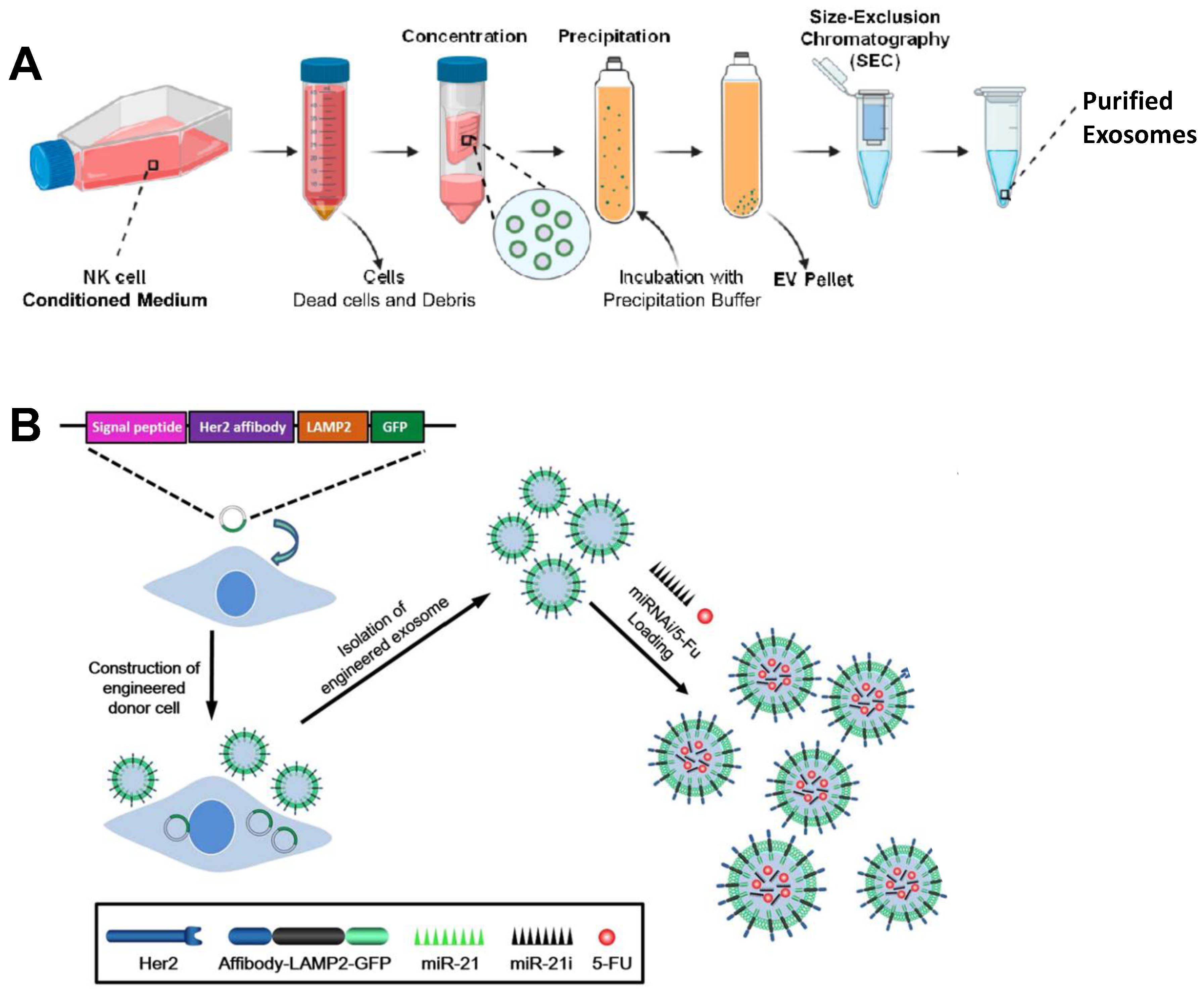 Bioengineering 09 00576 g003 Bioengineering 09 00576 g003