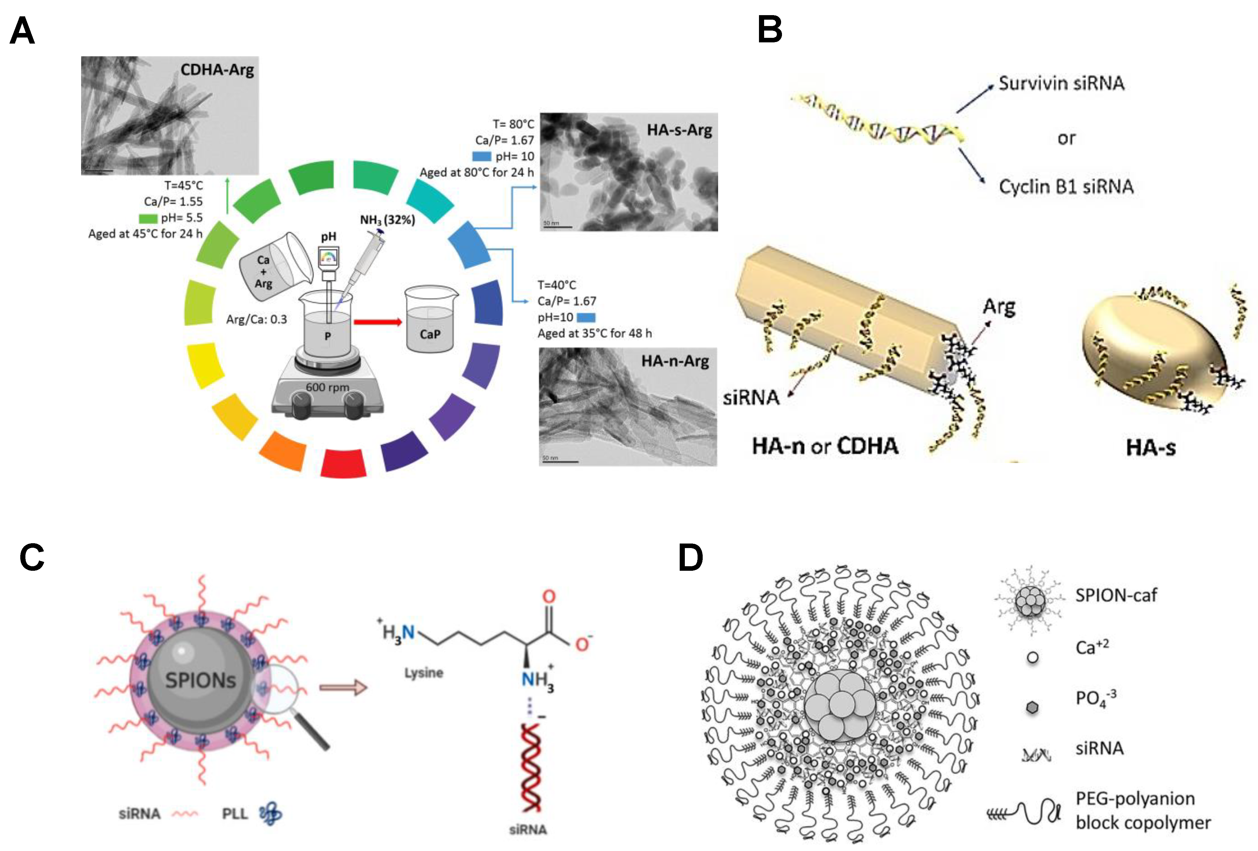 Bioengineering 09 00576 g005 Bioengineering 09 00576 g005
