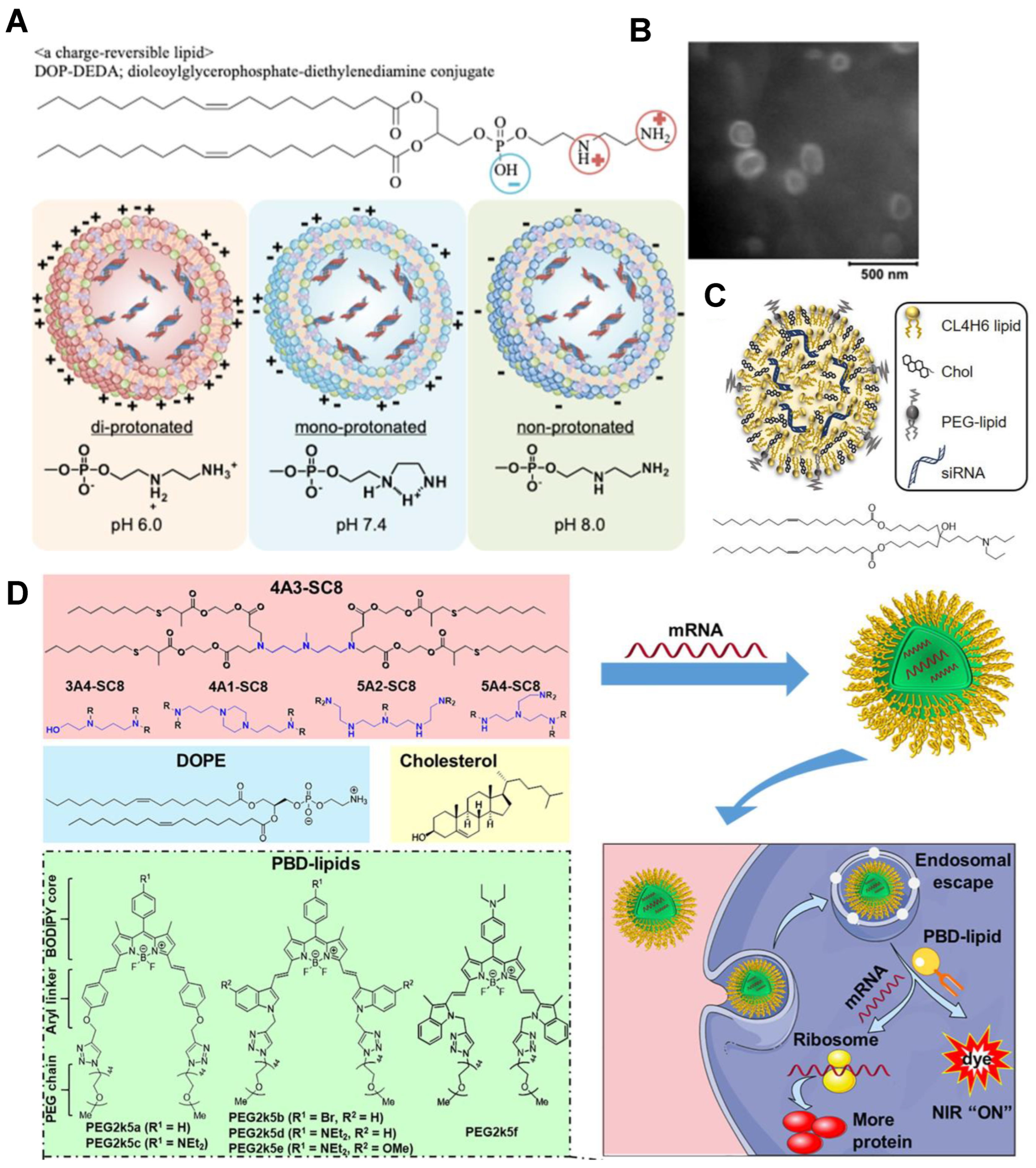 Bioengineering 09 00576 g006 Bioengineering 09 00576 g006