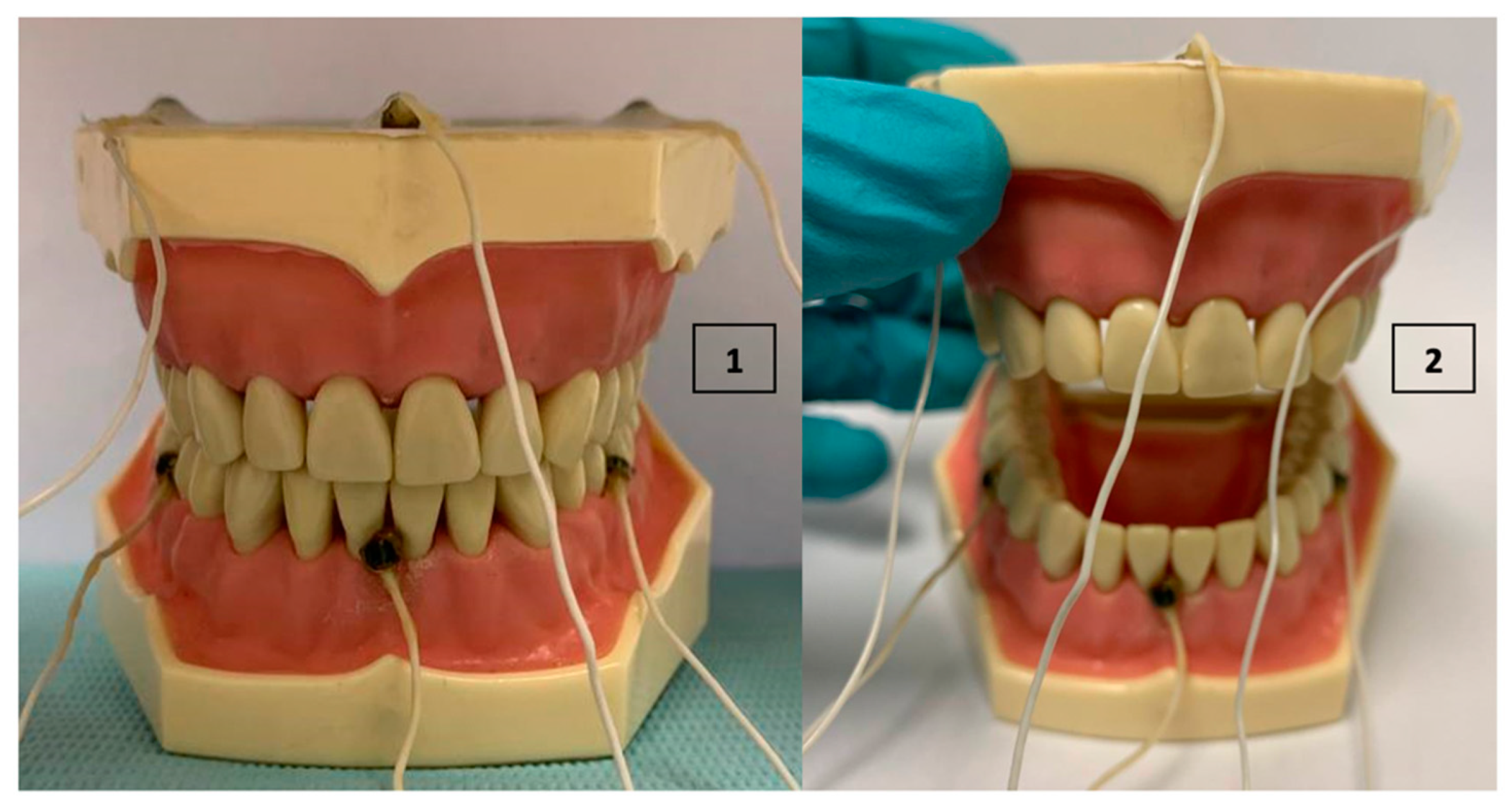 Bioengineering 09 00577 g004