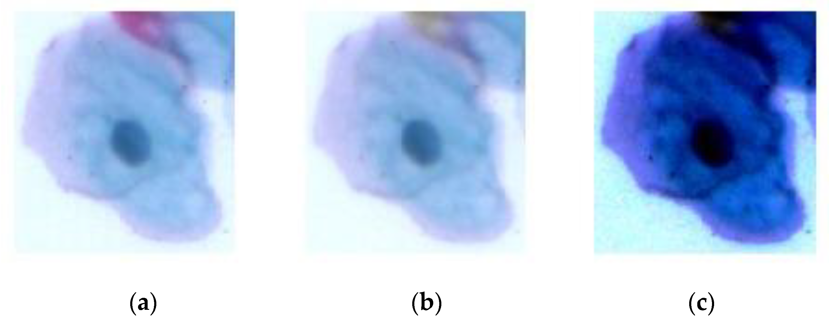 Bioengineering 09 00578 g003