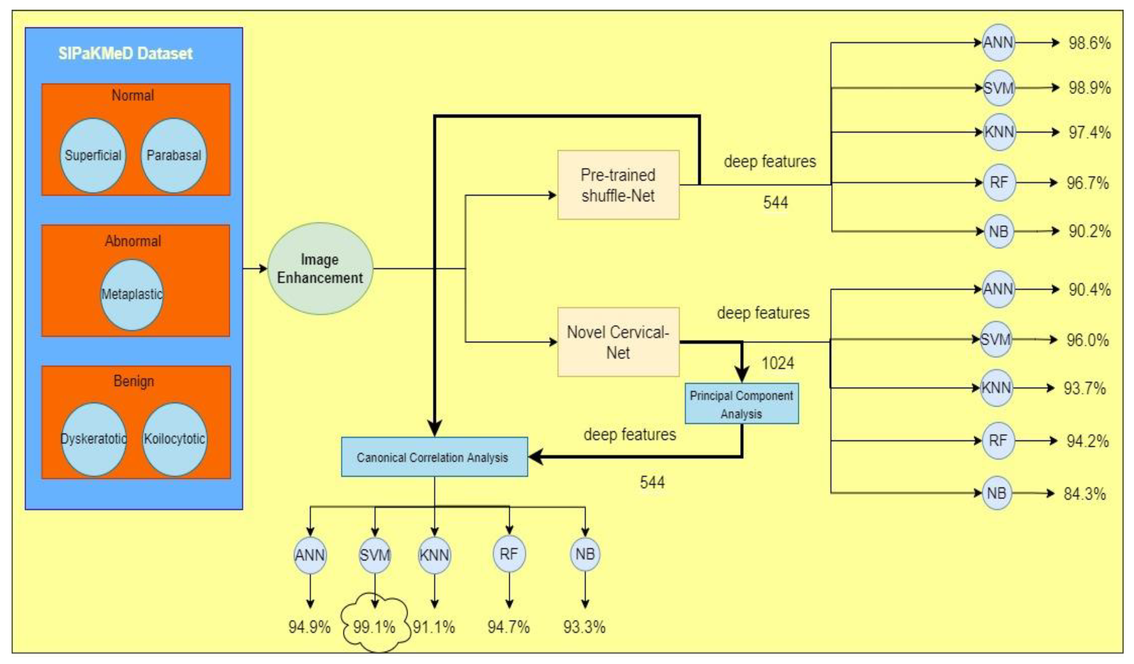 Bioengineering 09 00578 g010
