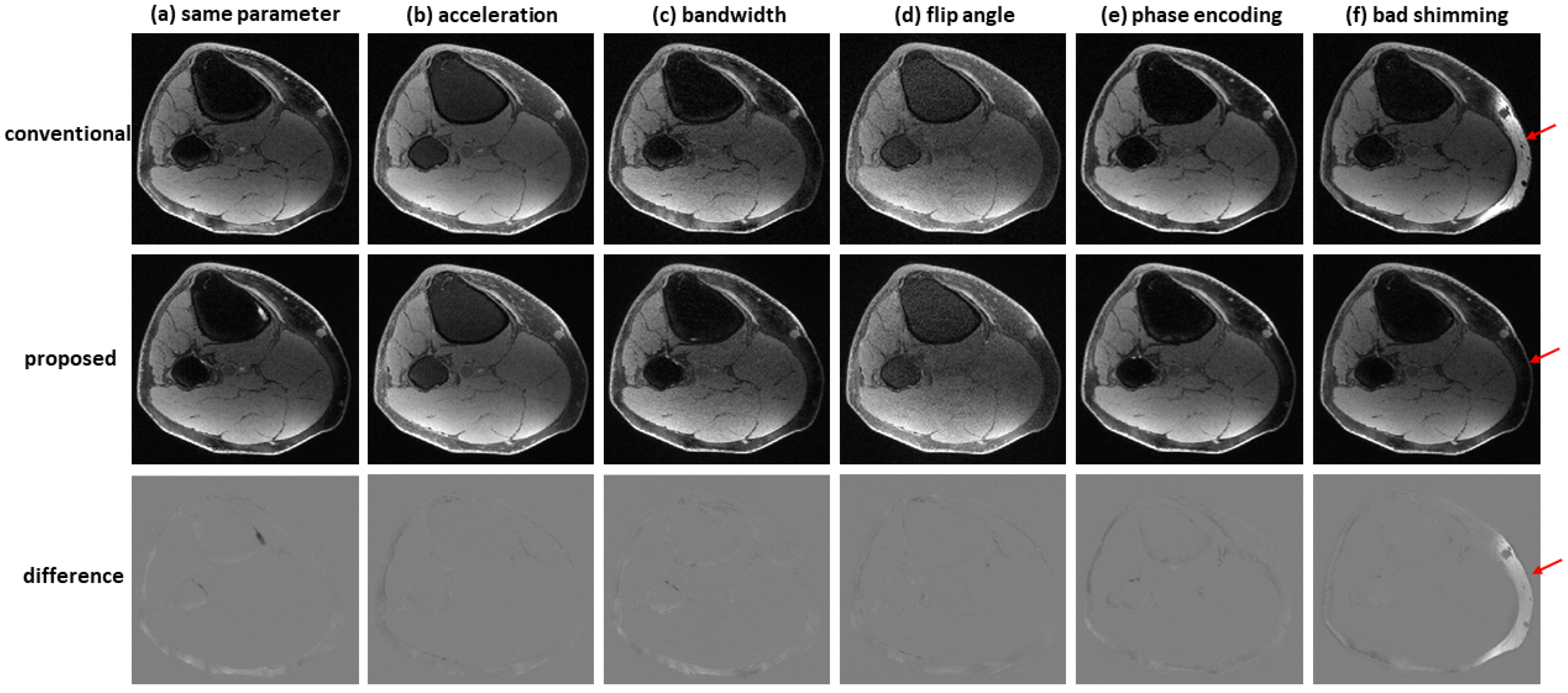 Bioengineering 09 00579 g007