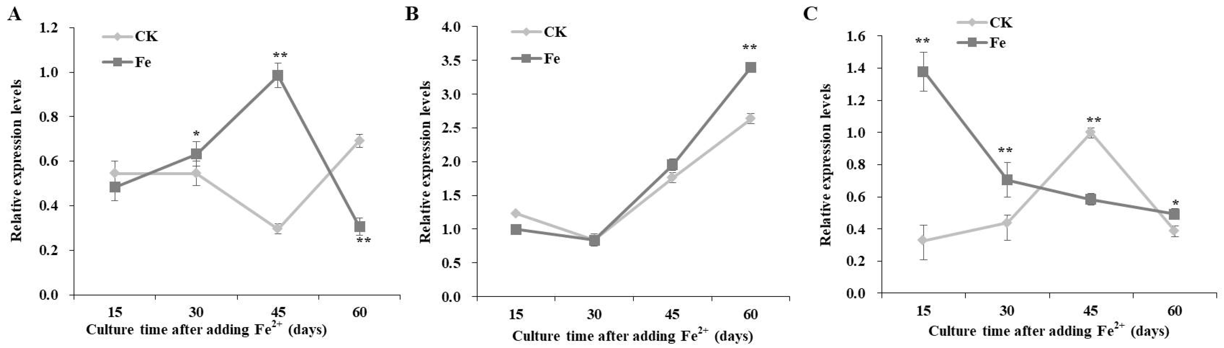 Bioengineering 09 00581 g004