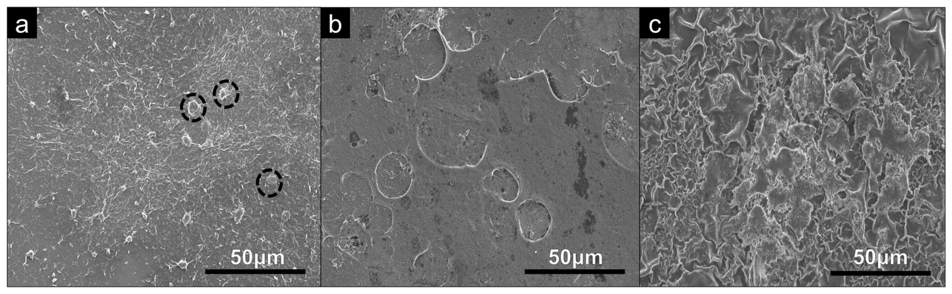 Bioengineering 09 00585 g006