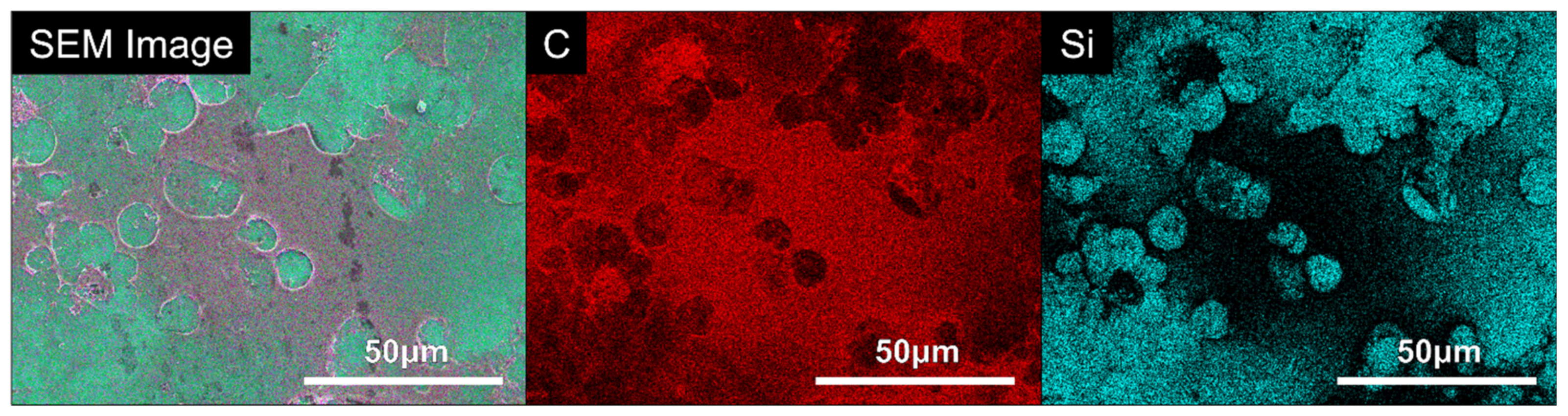 Bioengineering 09 00585 g007