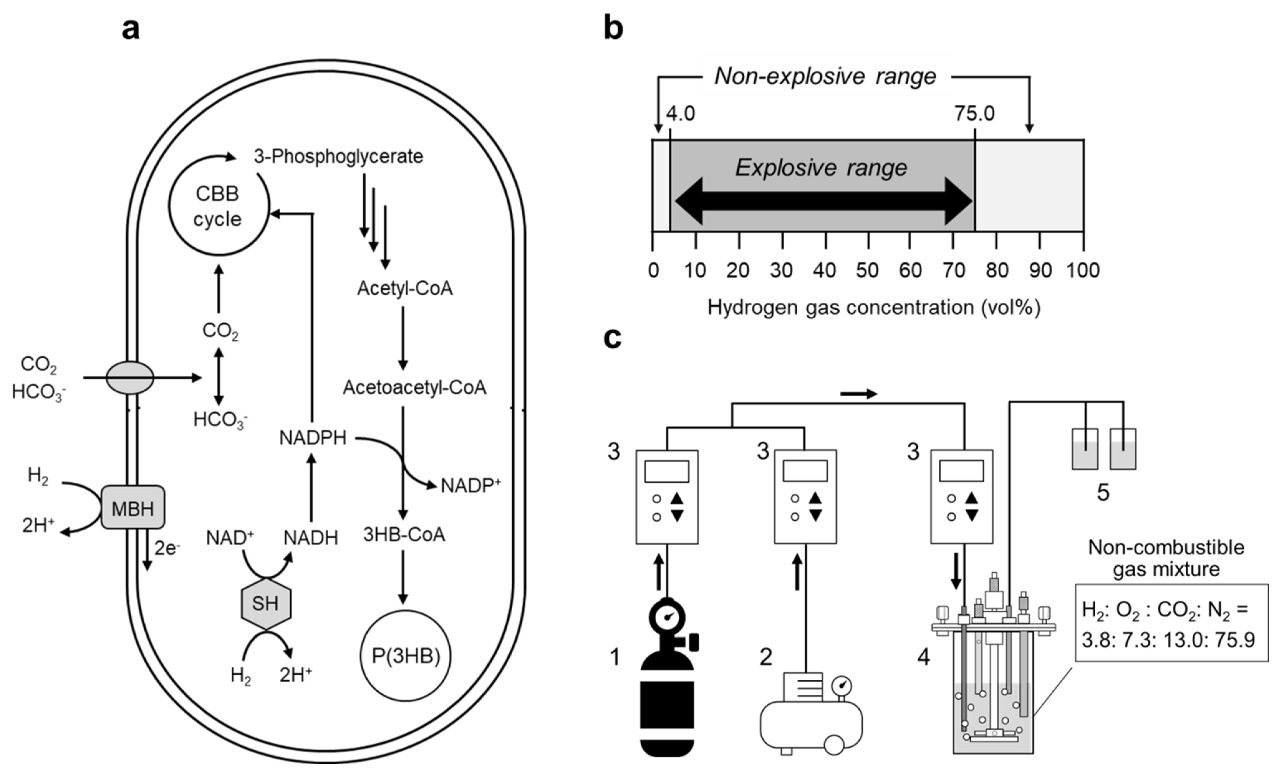 Bioengineering 09 00586 g001