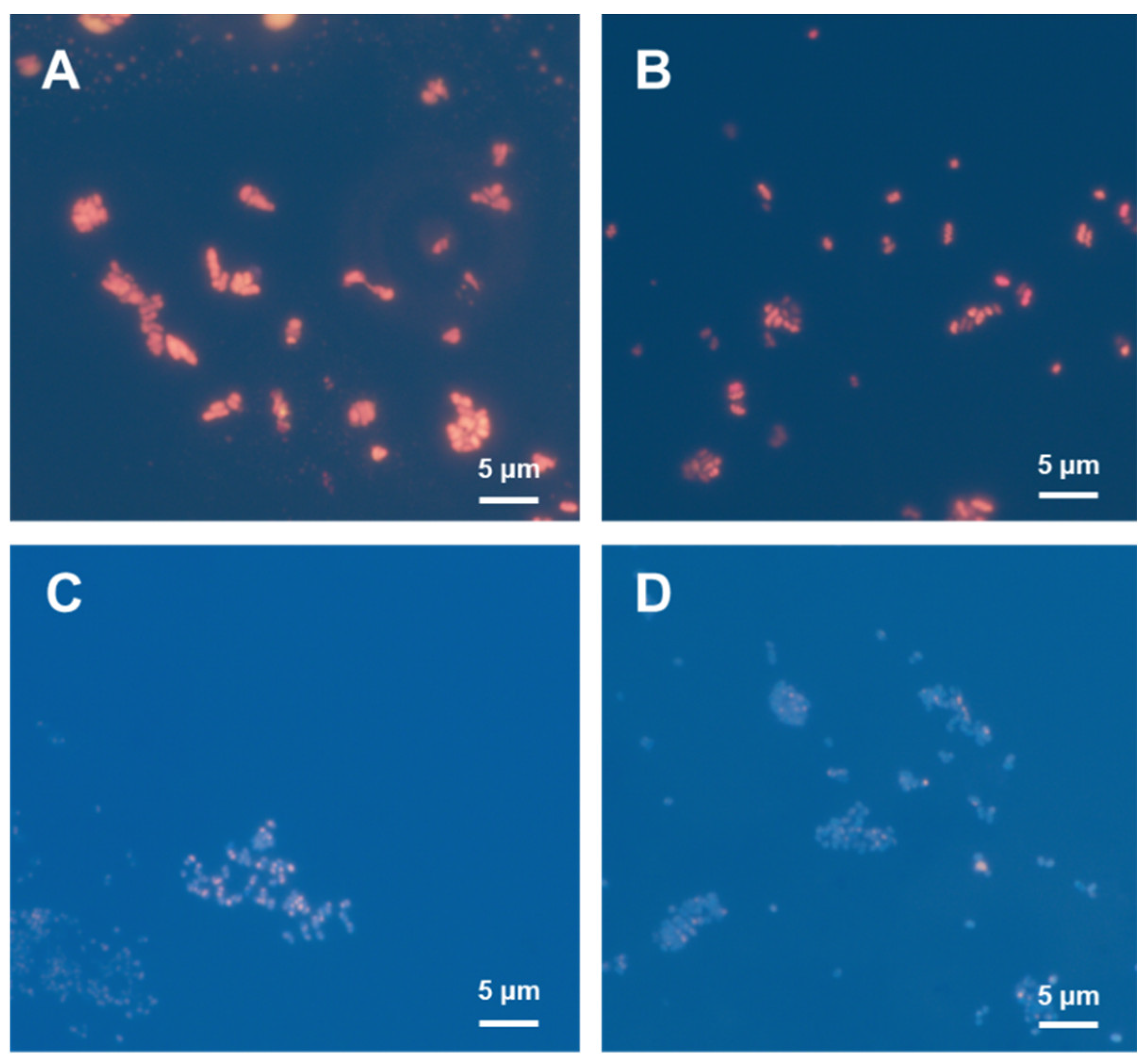 Bioengineering 09 00586 g005