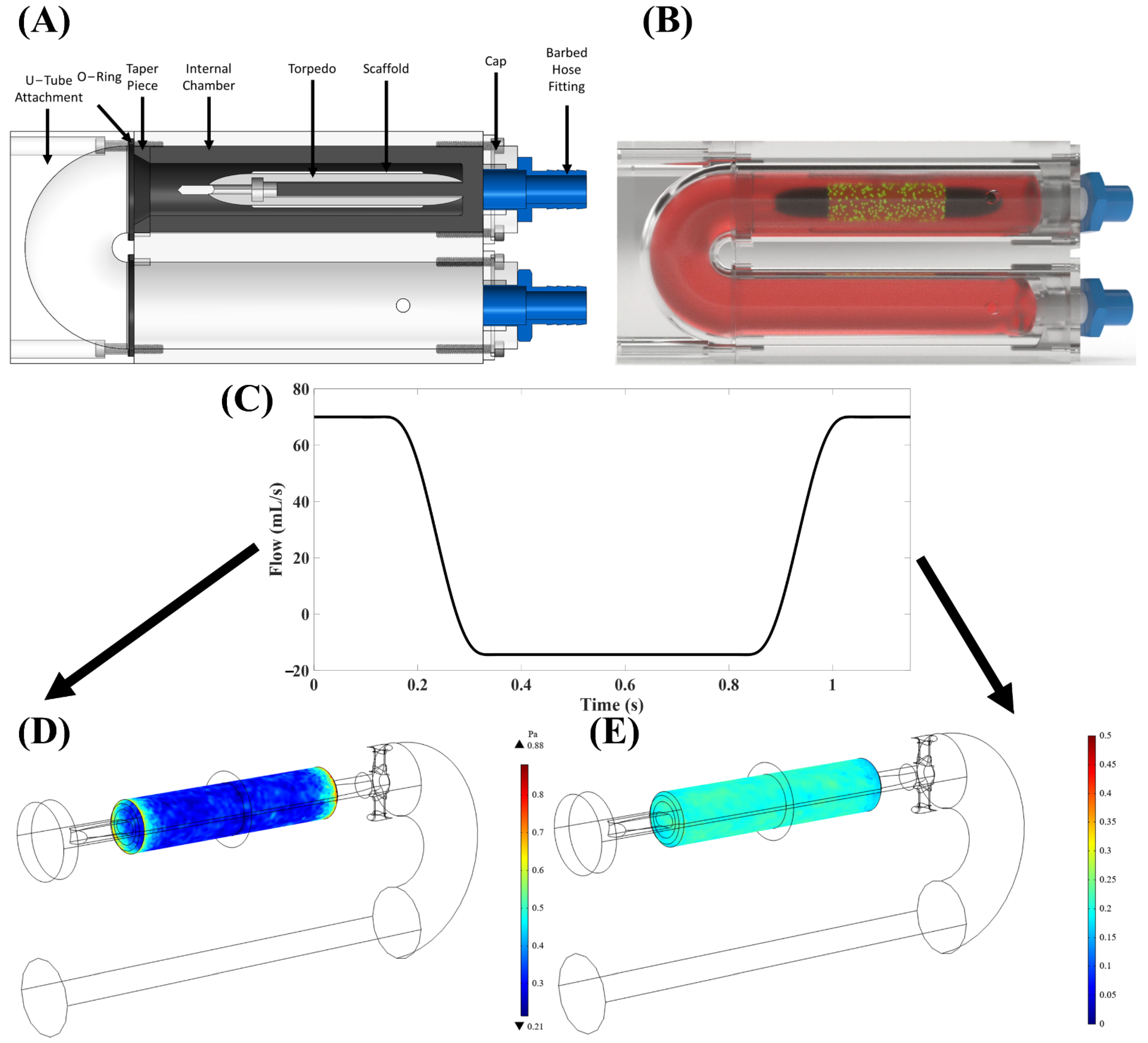 Bioengineering 09 00587 g001