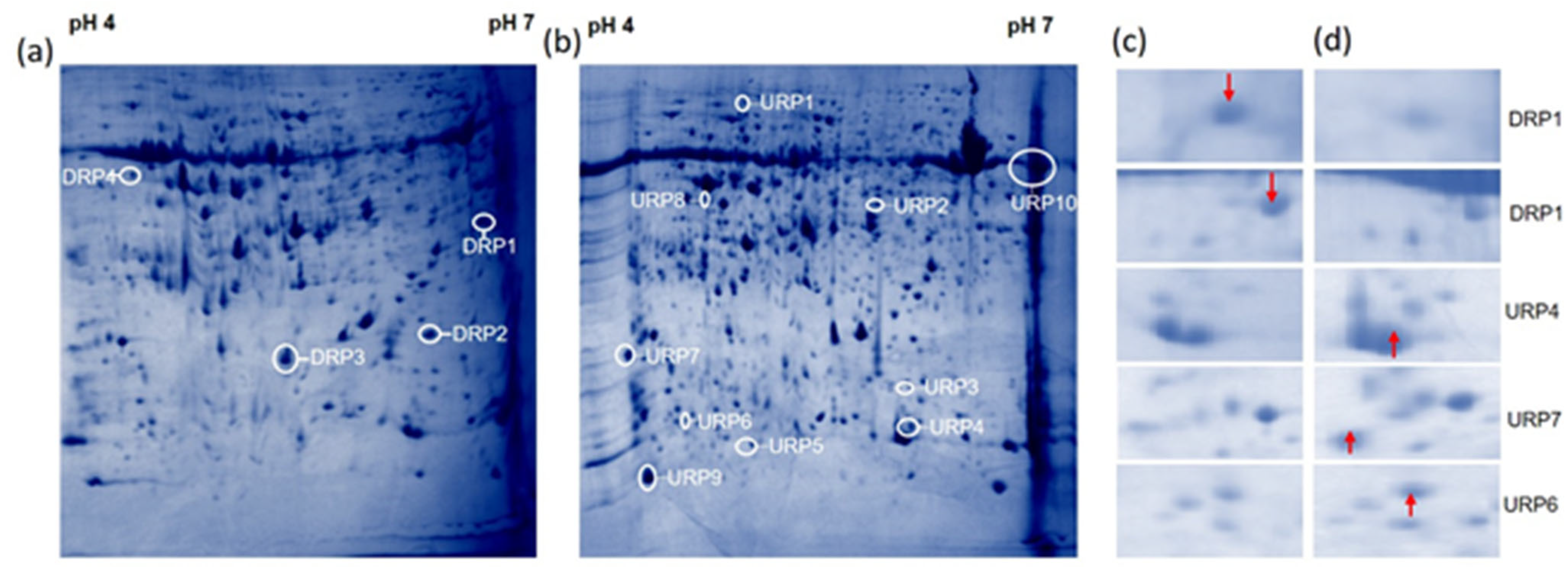 Bioengineering 09 00589 g003