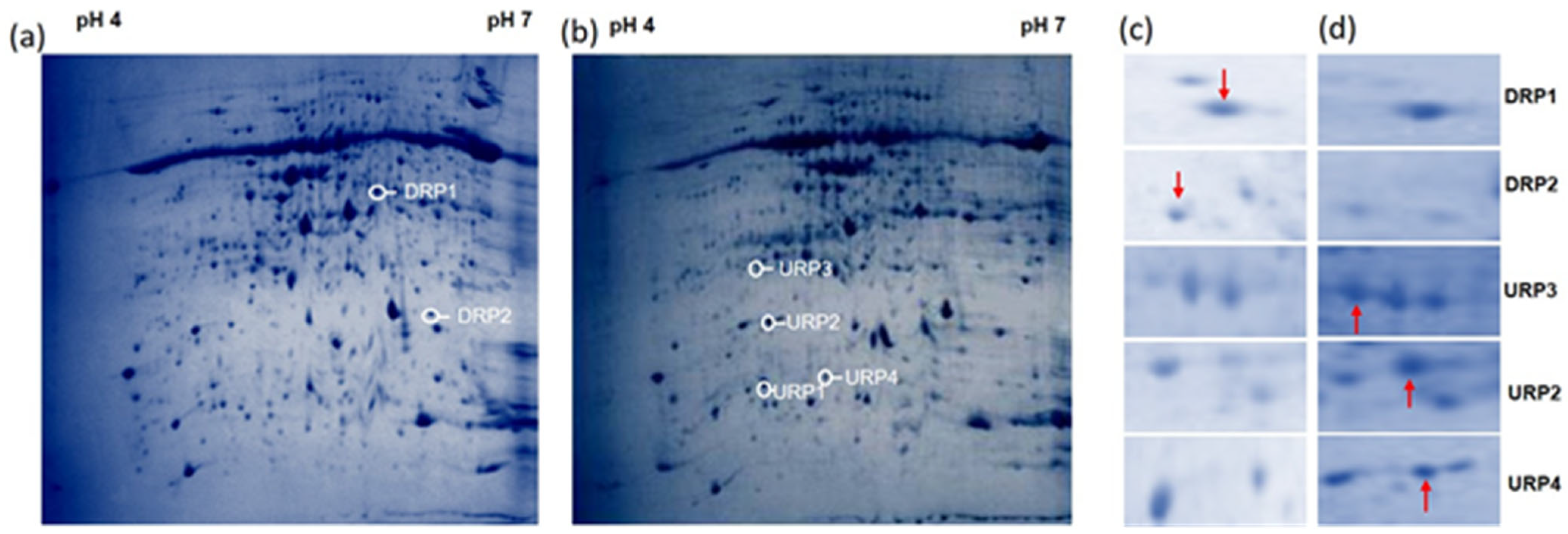 Bioengineering 09 00589 g004